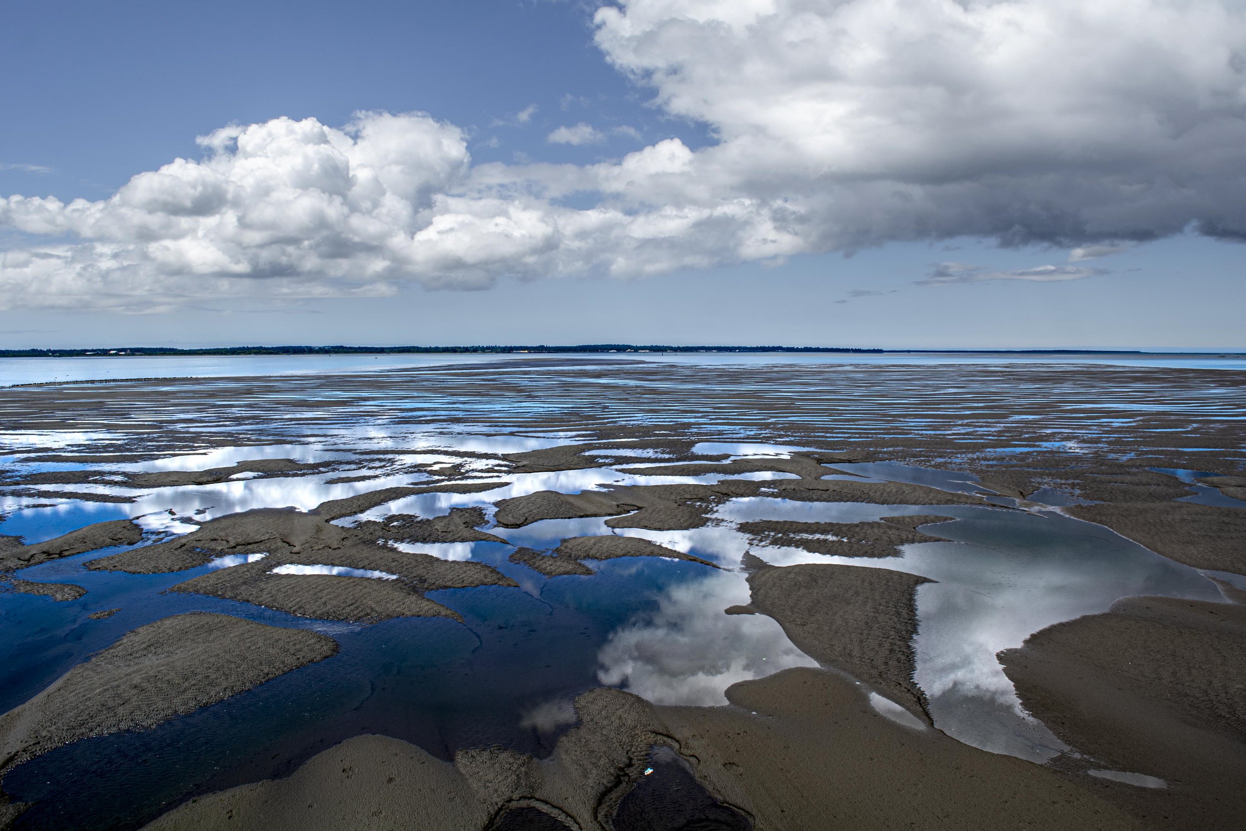 Columbia River Estuary From the Bridge