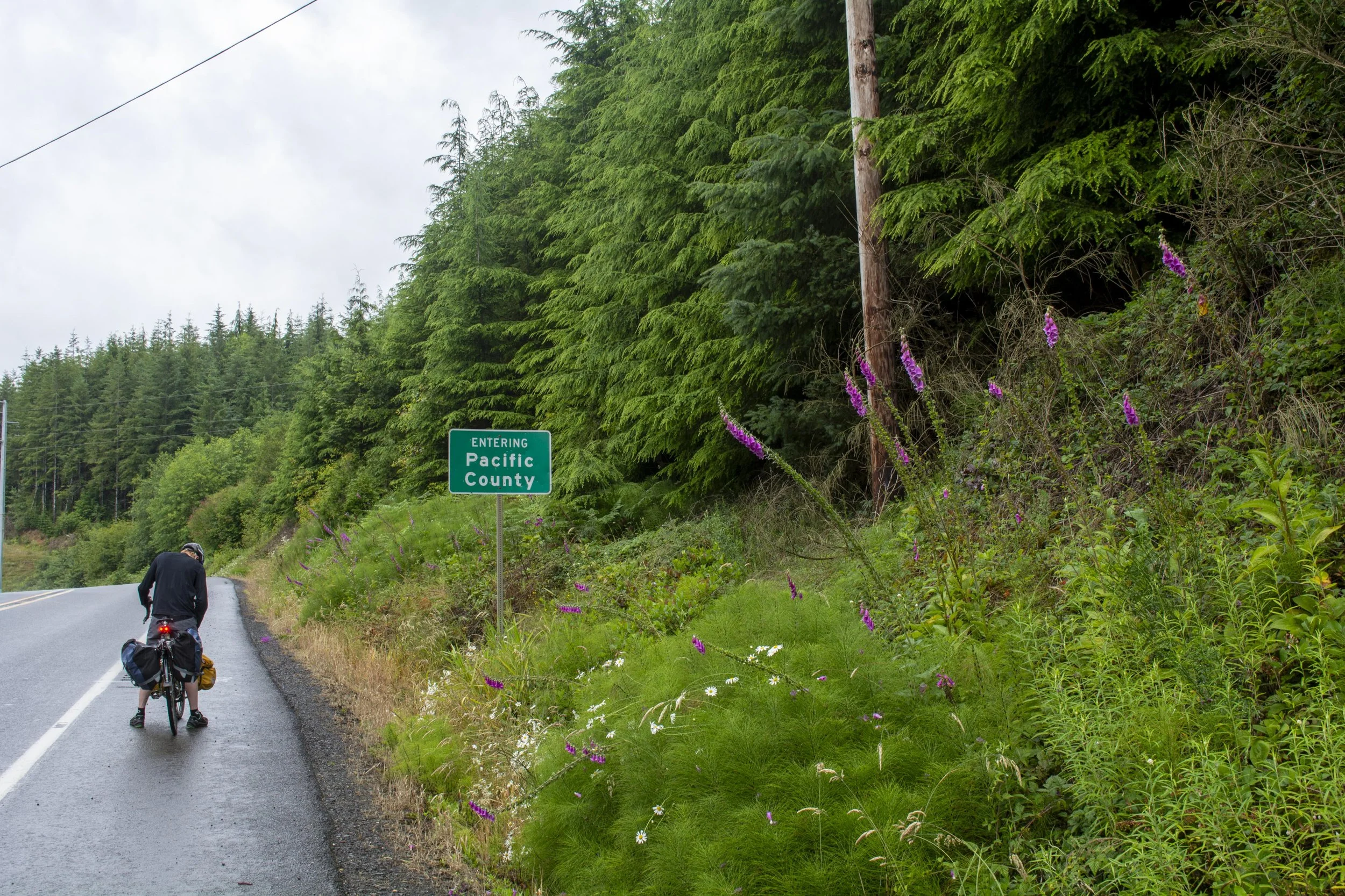 It Rains A Lot in Washington, it is true.