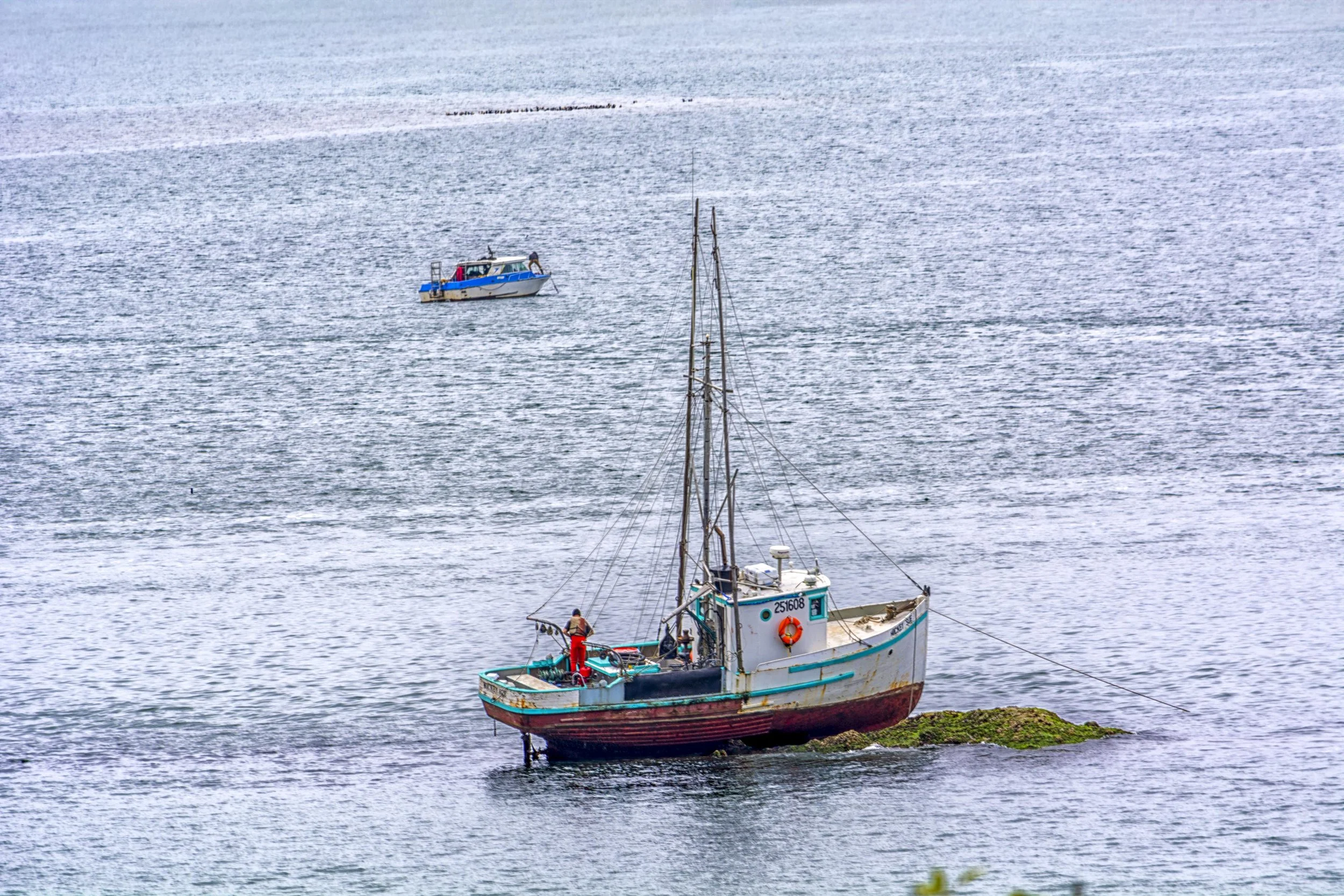 Just Waiting for the Tide