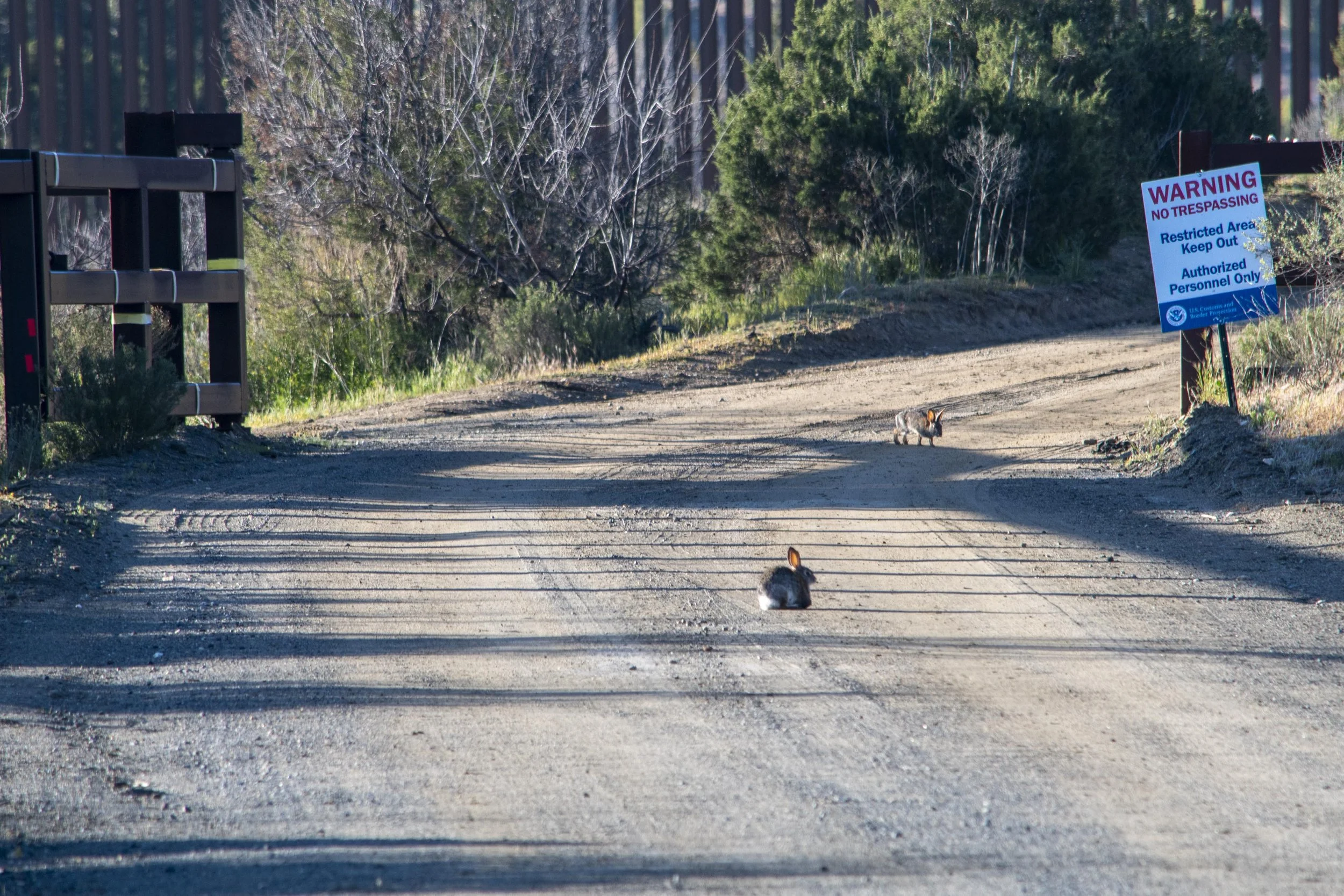 A Morning Hop Along the Border