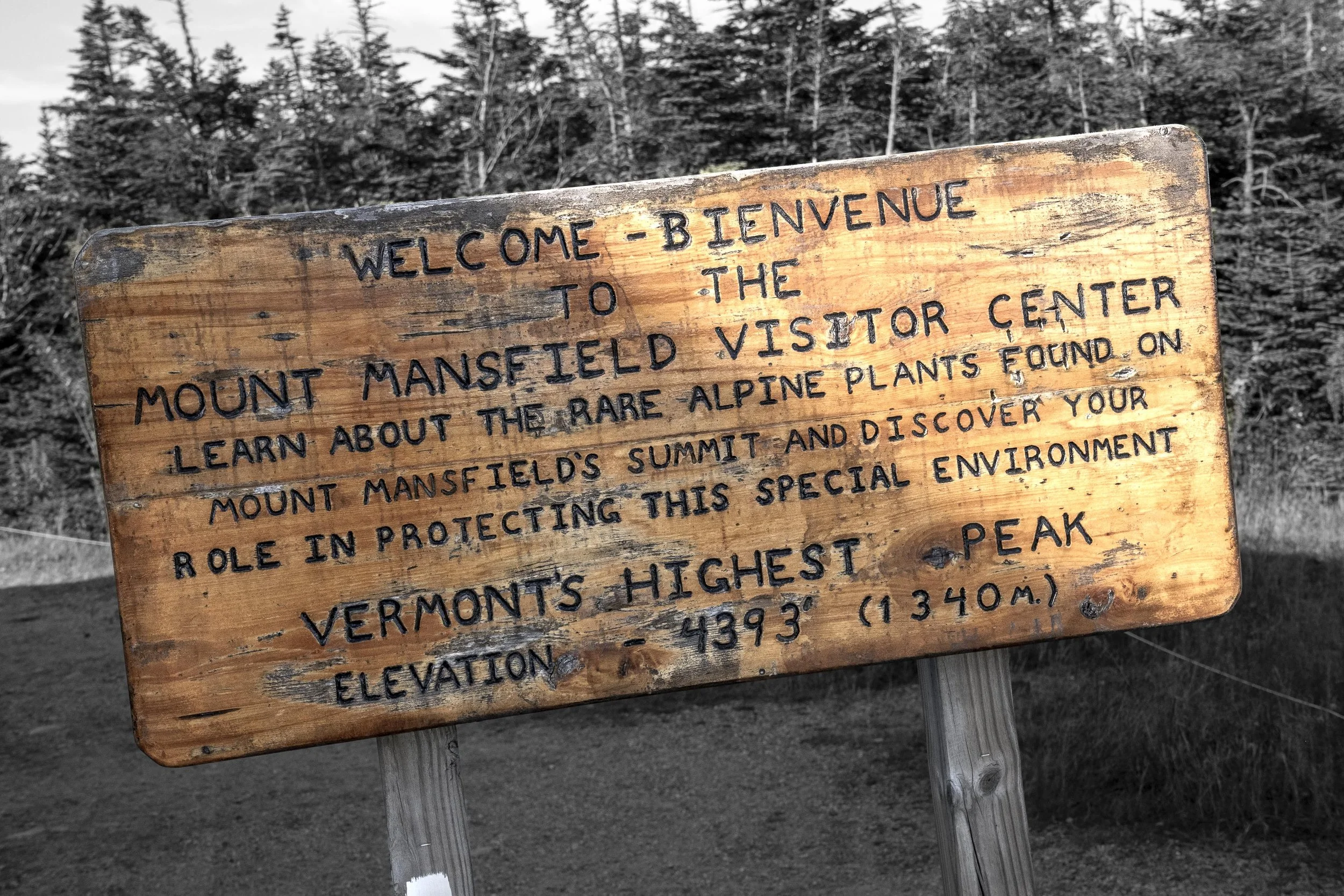 Fauna dating back 15,000 years to the last ice age