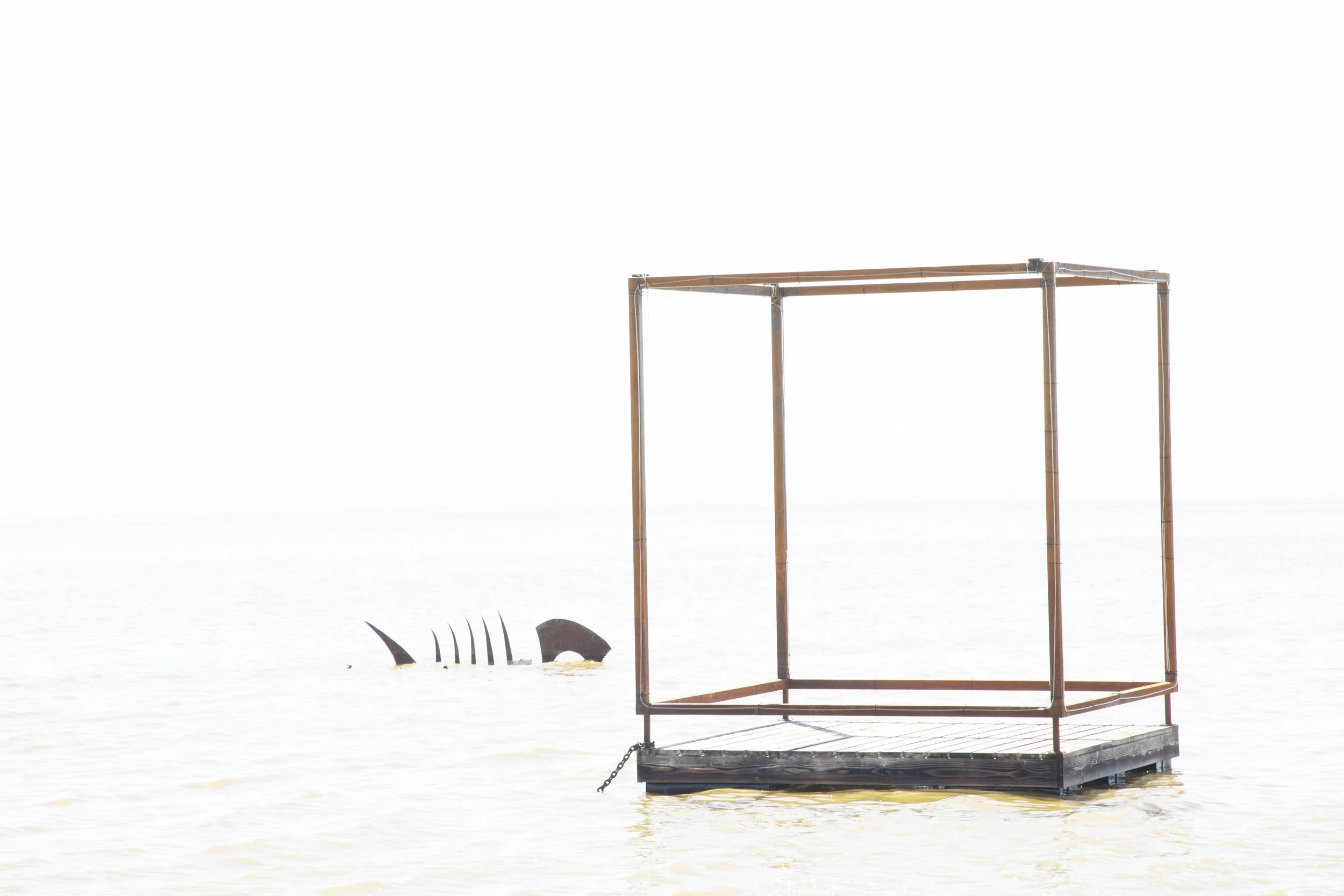 Fish skeleton
Art Installation
Judyth Greenburgh & Jael Hoffmann
Public