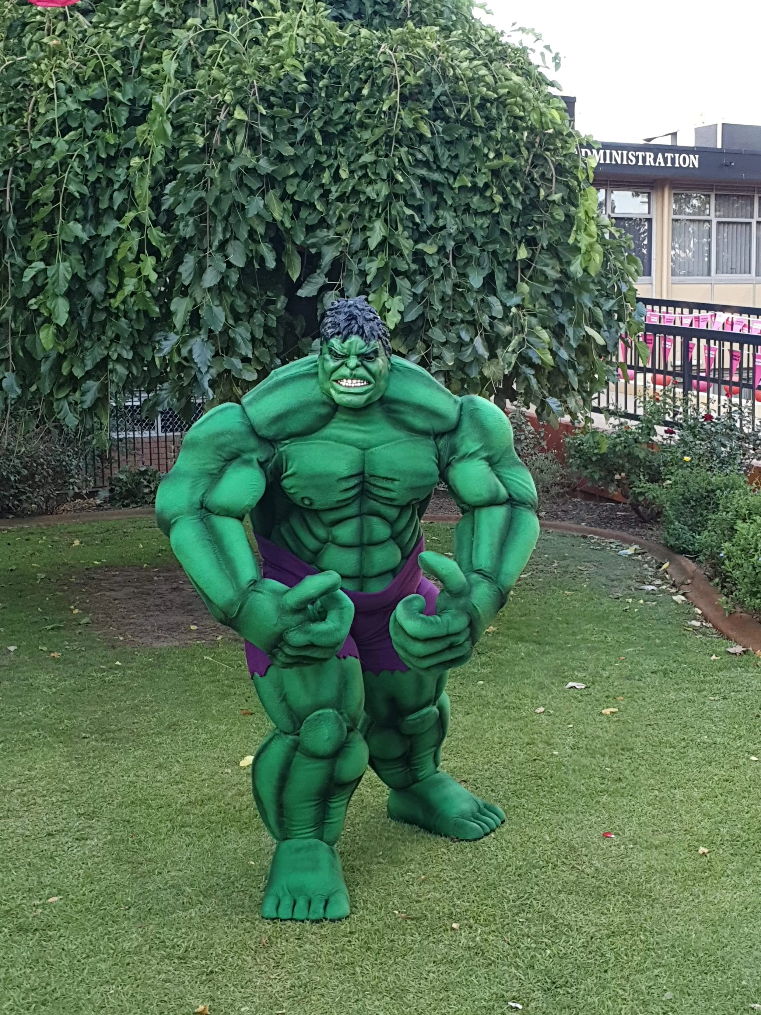 Hulk (1).jpeg