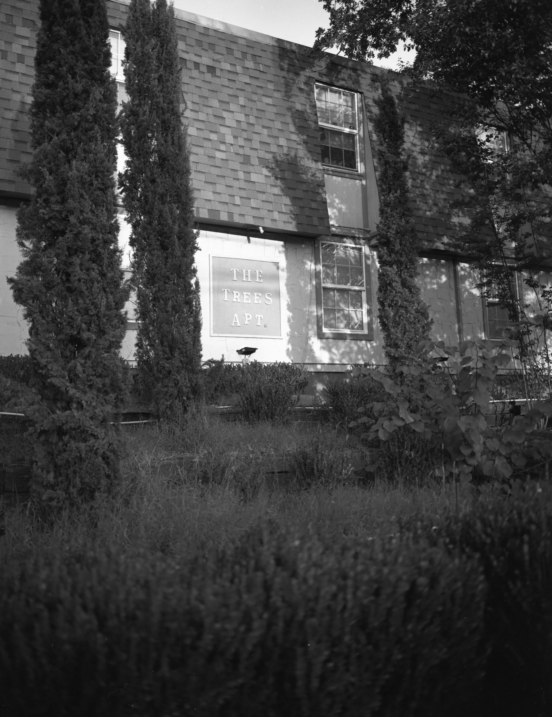 img20200906_23001696.jpeg