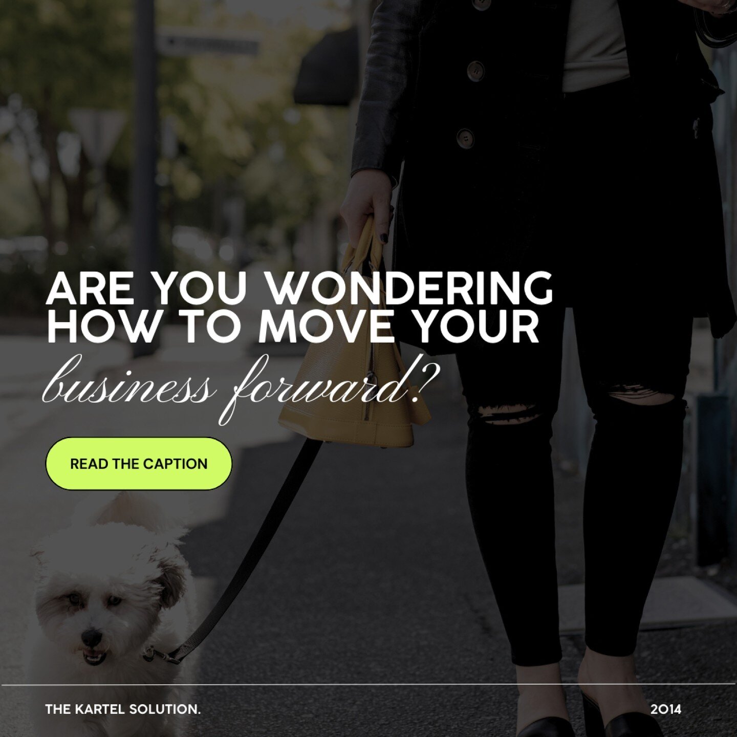 Are you wondering how to move your business forward?

👉 Digital innovation

The world is increasingly becoming digital, so it's important for your business to keep up. This means embracing new technologies and using them to your advantage.

👉 Consi