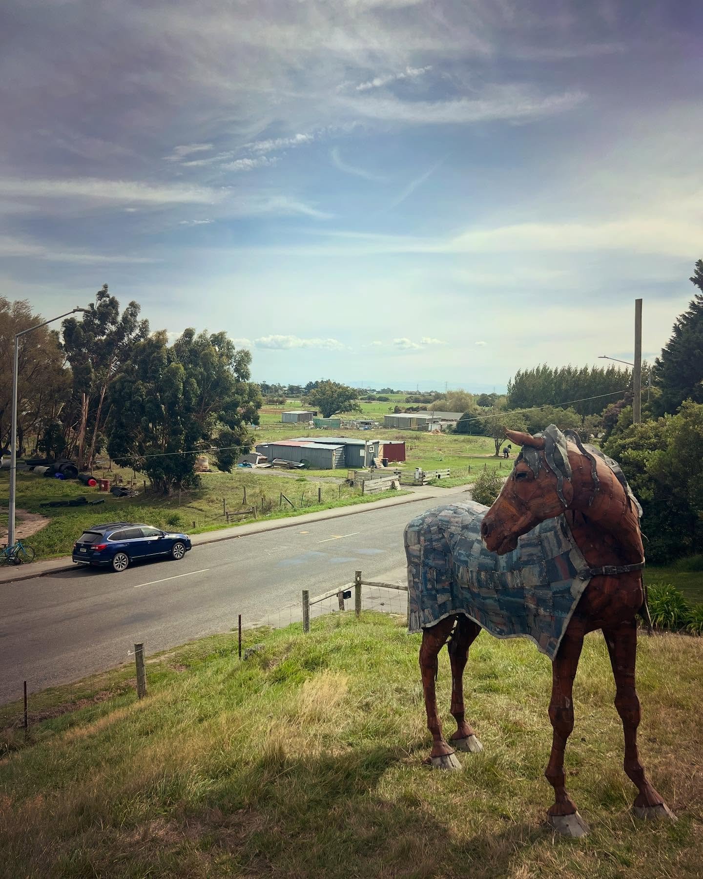 Pretty bloody stoked with this rather nostalgic instal today. We used to live just 100 metres down the road and in making this fellow I was drawing on my teenage horse paddock memories. It&rsquo;s a home coming of sorts and couldn&rsquo;t be more of 