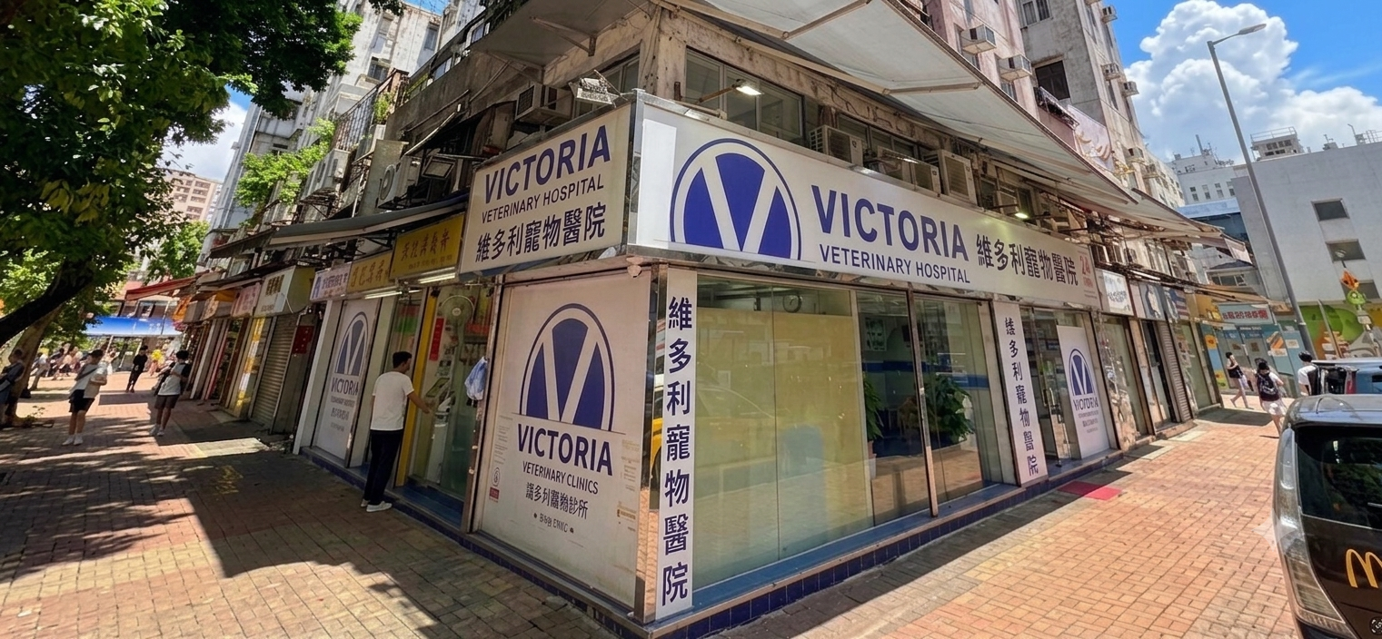 Exterior view of Victoria Veterinary Hospital on a city street, with a sign displaying the clinic's name in English and Chinese, a glass entrance.