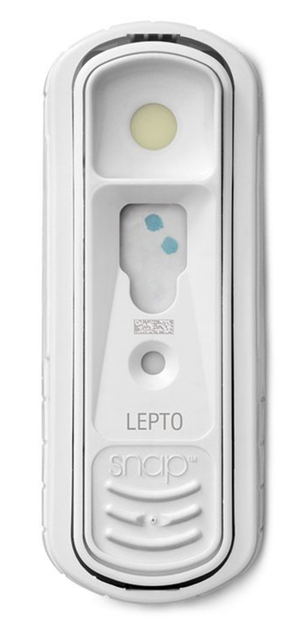 A SNAP test cassette with a circular control line area and a rectangular result window showing blue dots, labeled 'lepto'.