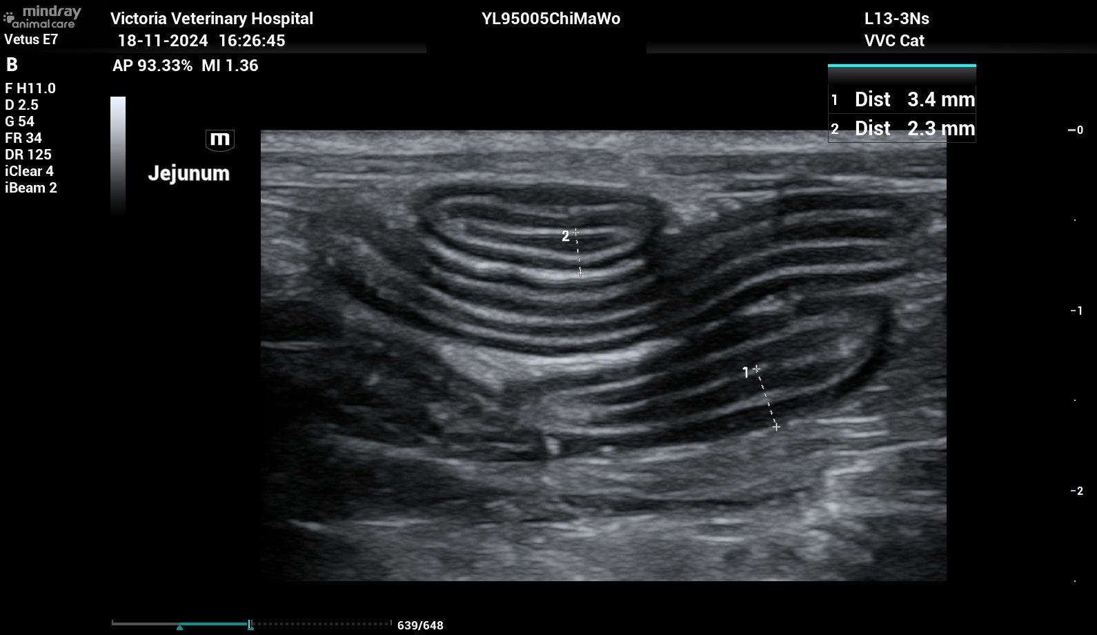 Ultrasound image of a cat's jejunum, taken at Victoria Veterinary Hospital.