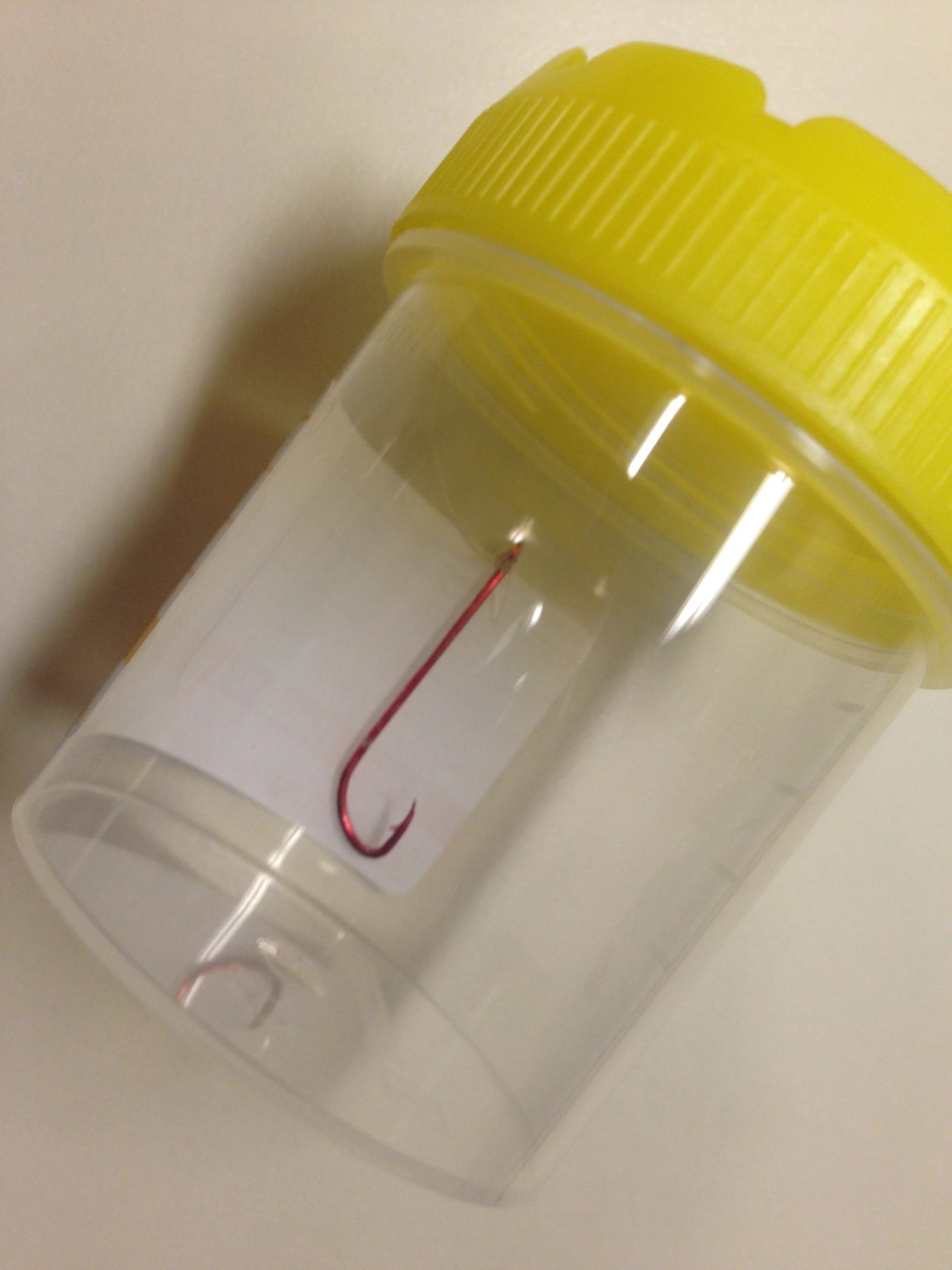 The fish hook removed from an animal throat using a endoscope.