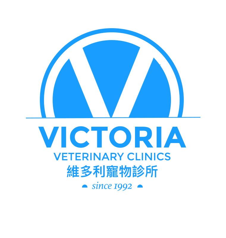 Logo for Victoria Veterinary Clinics featuring a large blue 'V' inside a semi-circle, with the clinic's name and Chinese characters below, and 'since 1992' at the bottom.