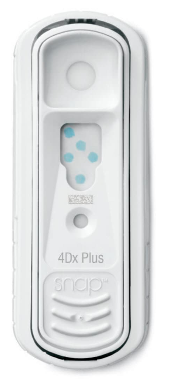 A SNAP test device with two blue test lines, one at the control area and another at the test area, and labeled with "4Dx Plus".