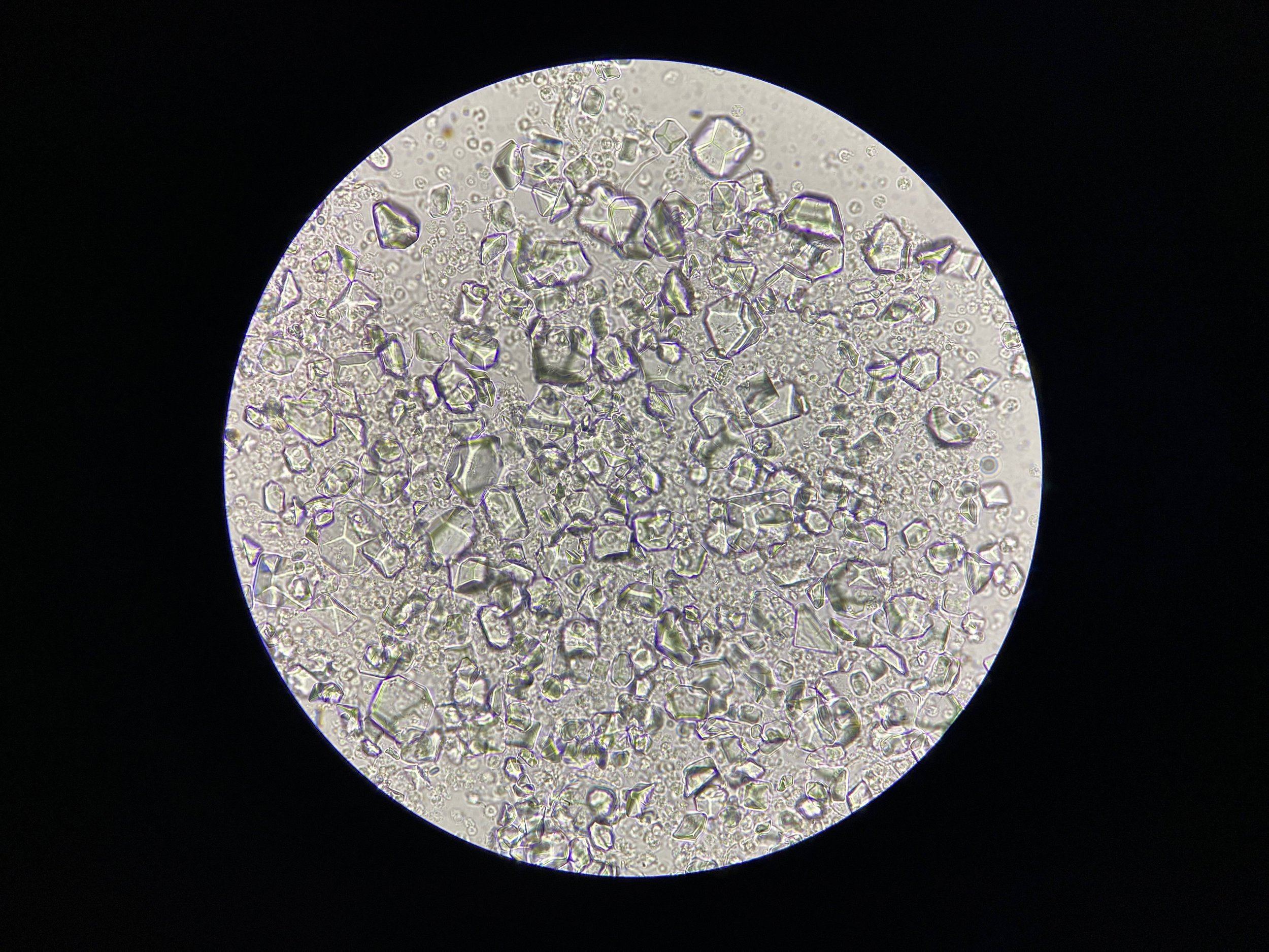Microscopic view of various small, transparent, geometric-shaped crystals scattered inside a circular viewing area.