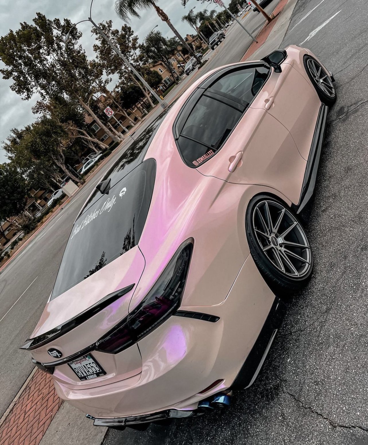 Candy Purple Pink — Paradox Styling