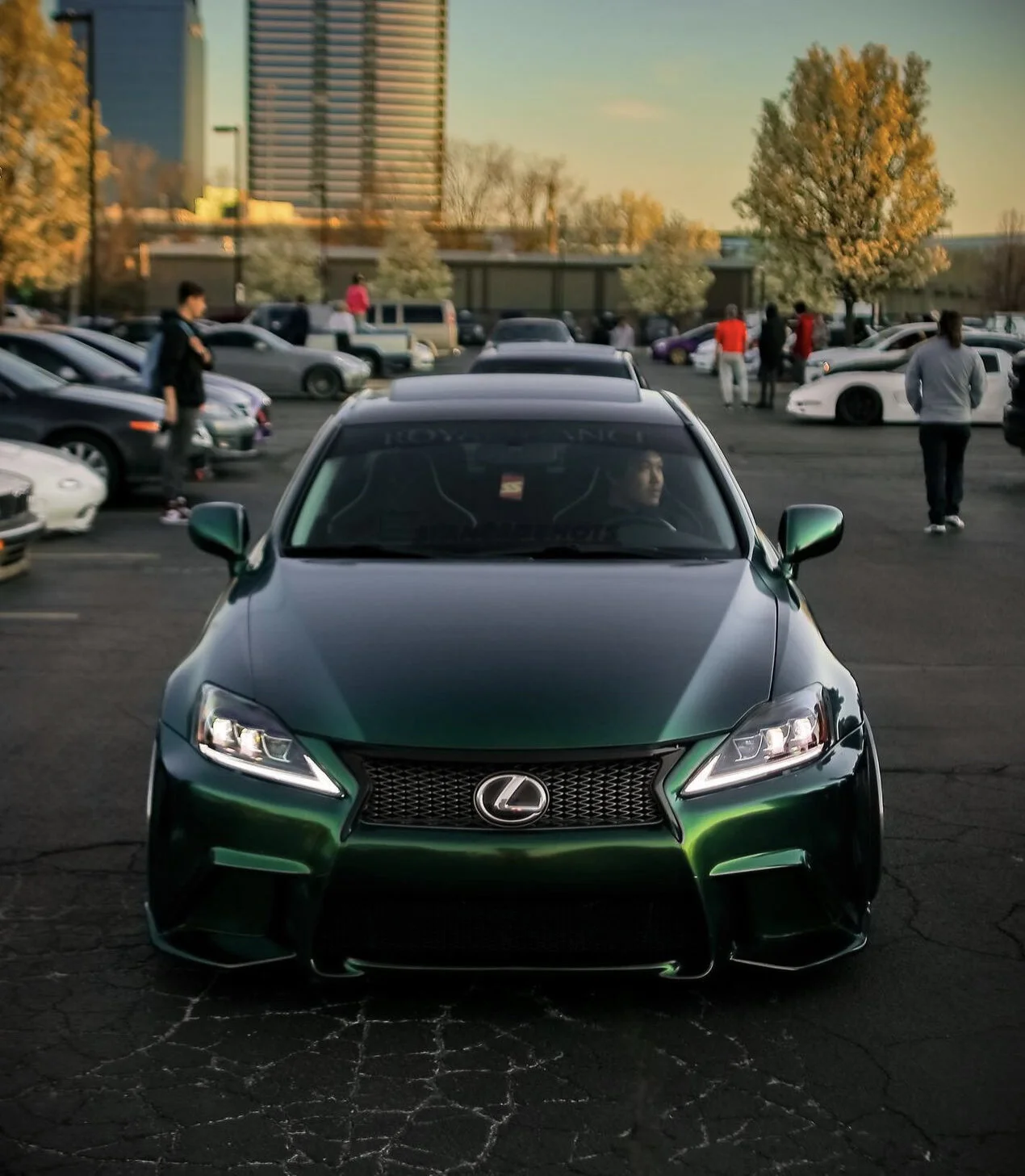 画材 Green gold chiffon Magic Gold Green — Paradox Styling