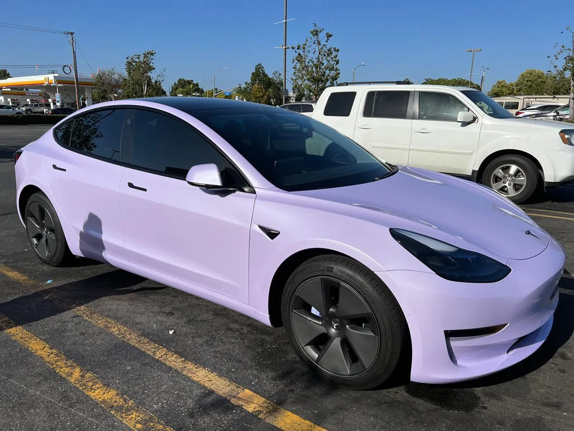 Purple Lavender Pearl (PET) — Paradox Styling