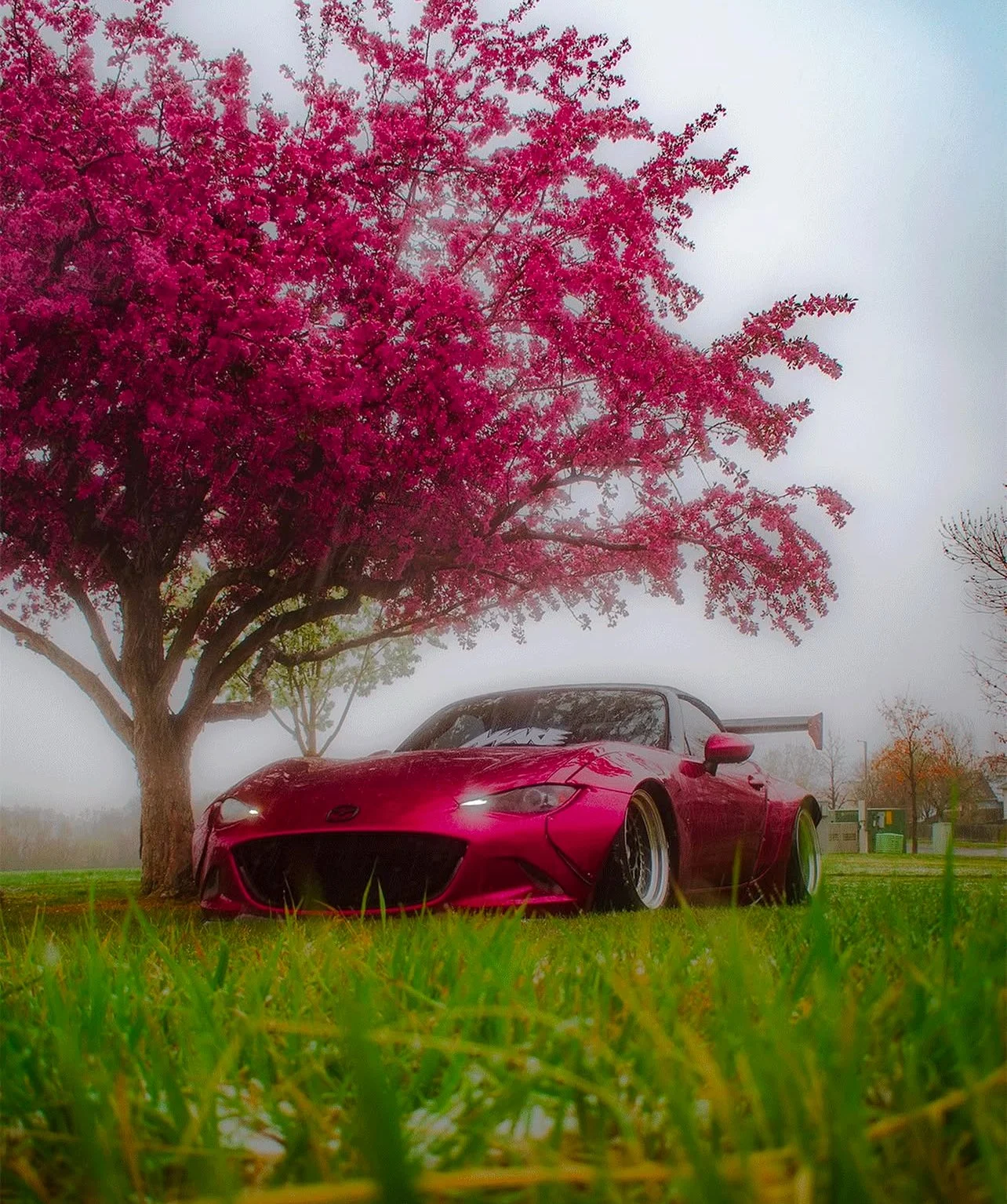 Gloss Ruby Fuchsia (PET) — Paradox Styling