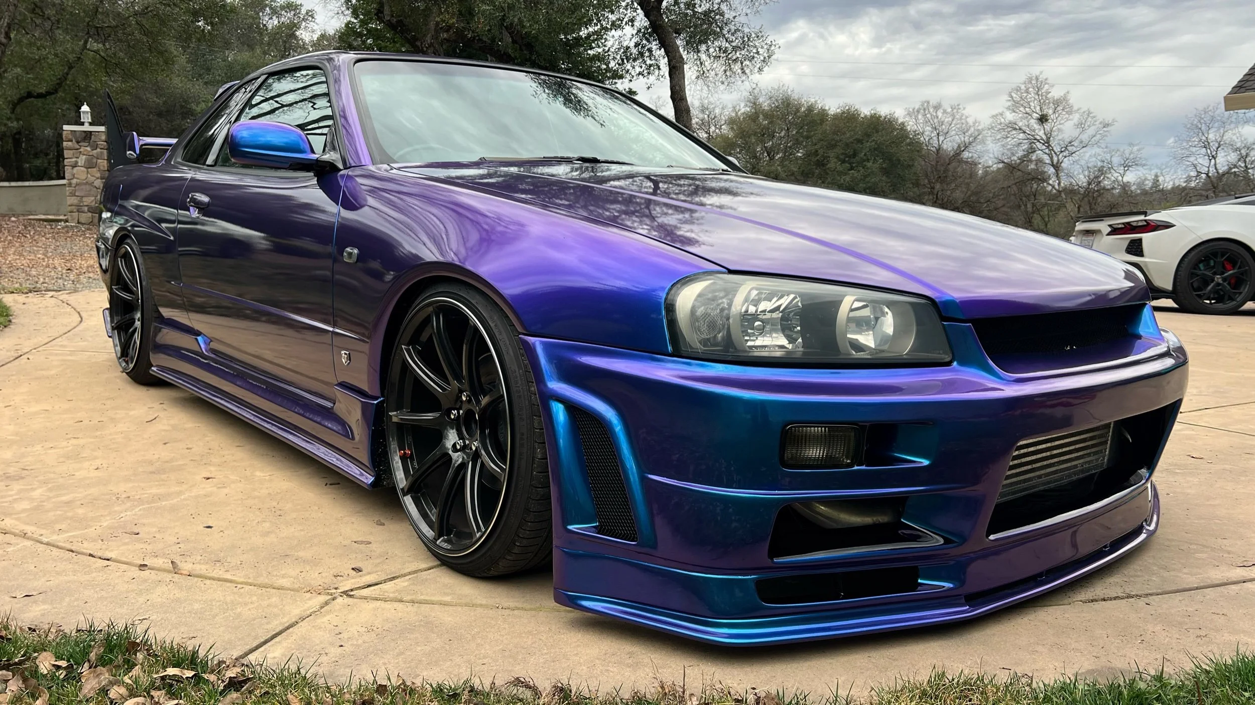 Glossy Chameleon Polar Light — Paradox Styling