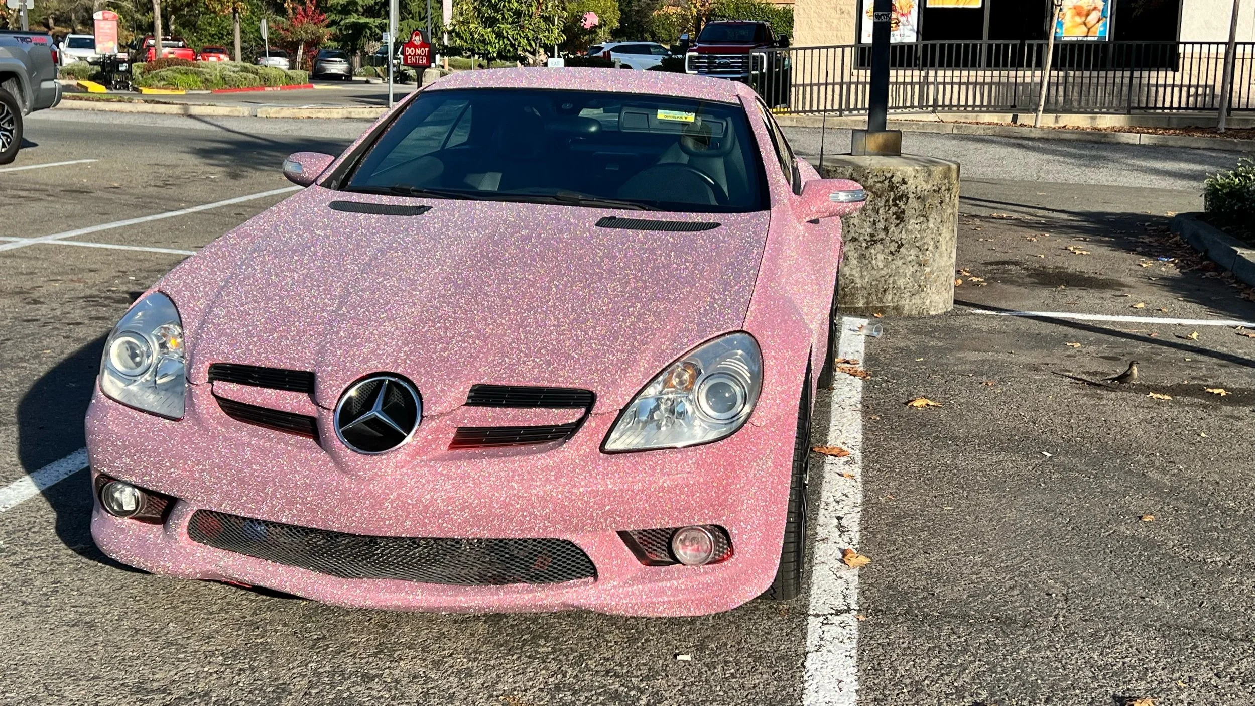 Super Glitter Pink Diamond — Paradox Styling
