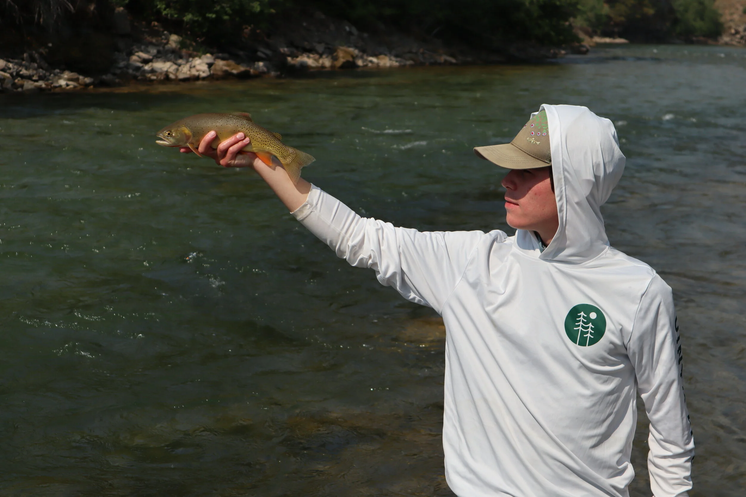 Sun Hoodie (New Design)