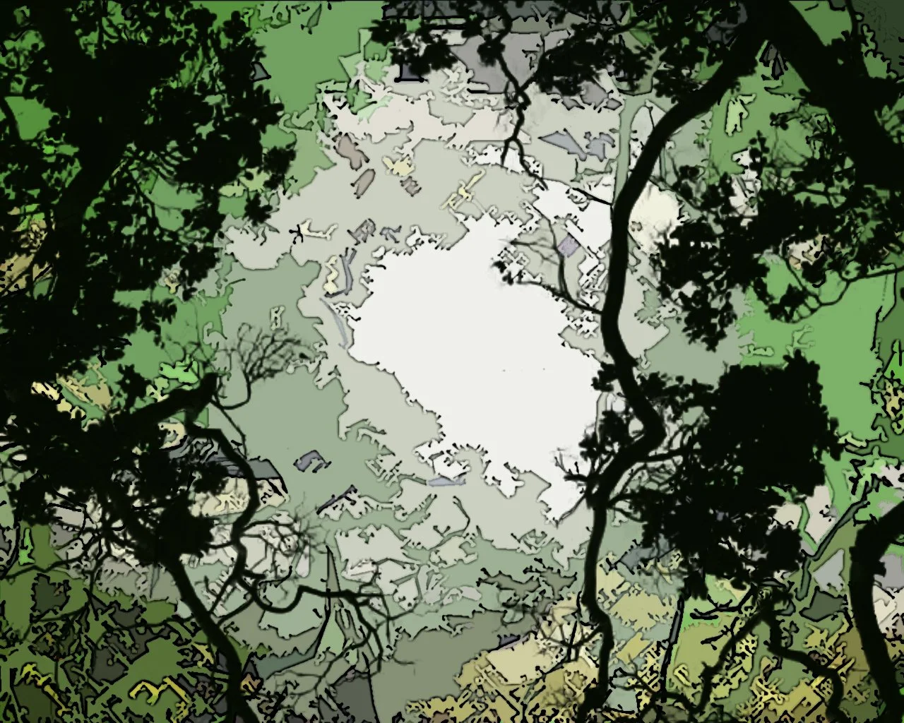Jungle [R] 1280x1024 (z).jpg
