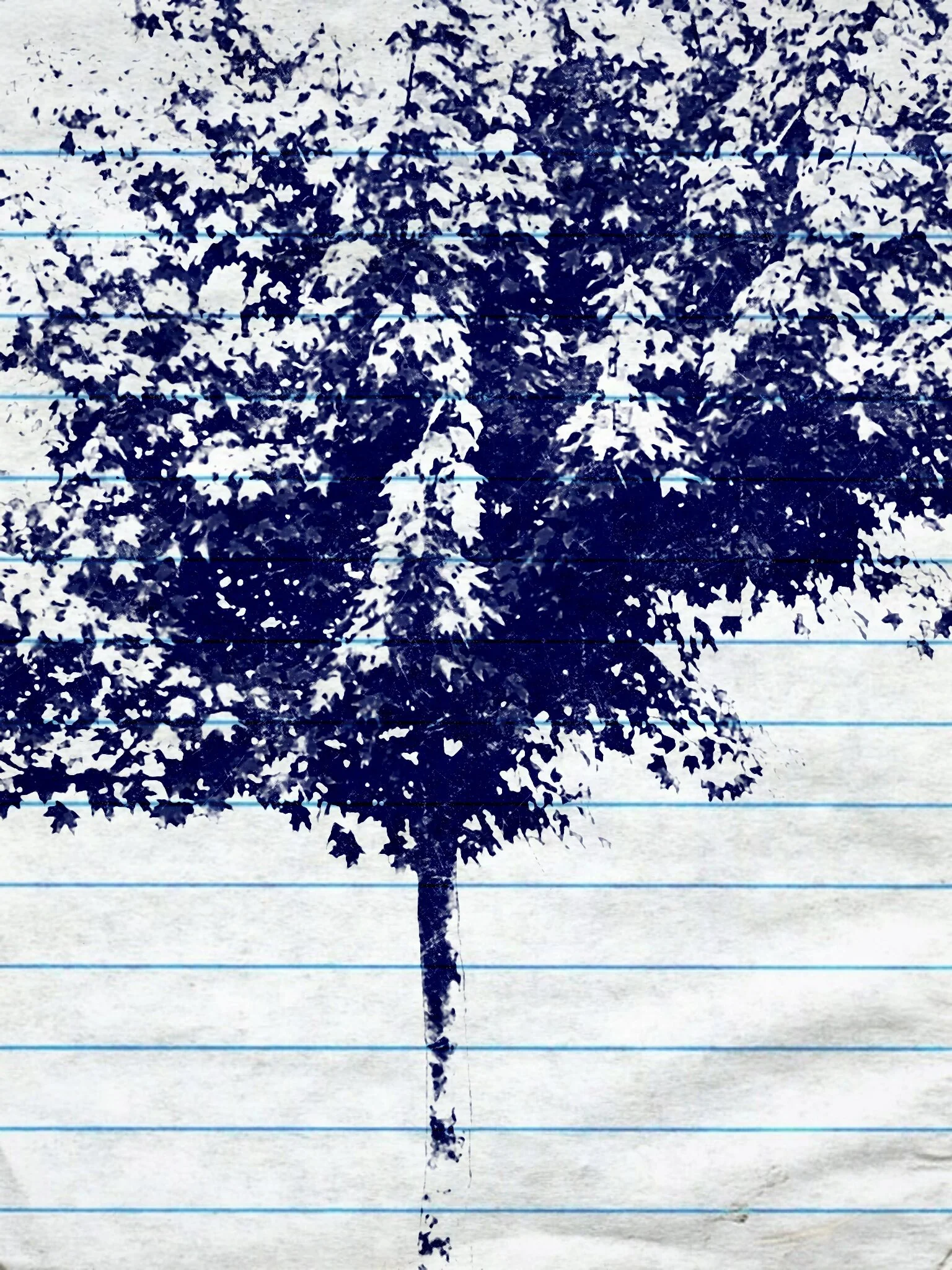 Tree [r] (54).jpg
