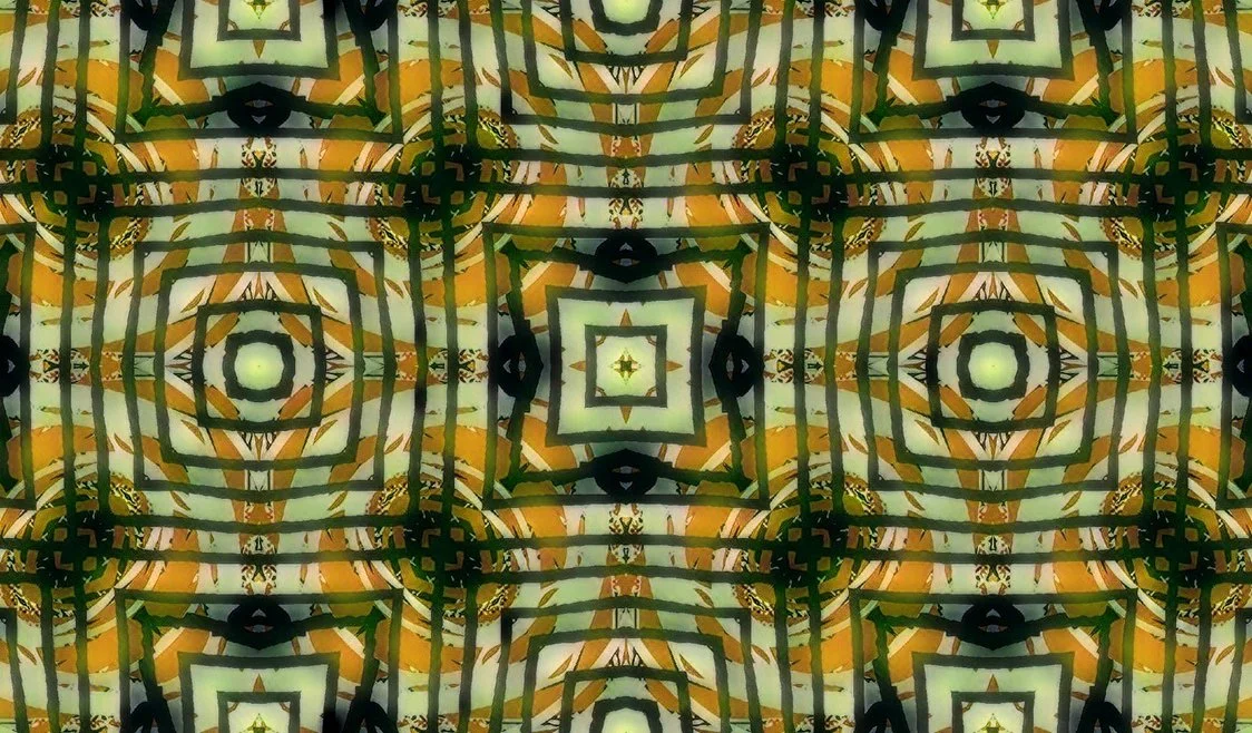 DISBOXIUM (28).jpg