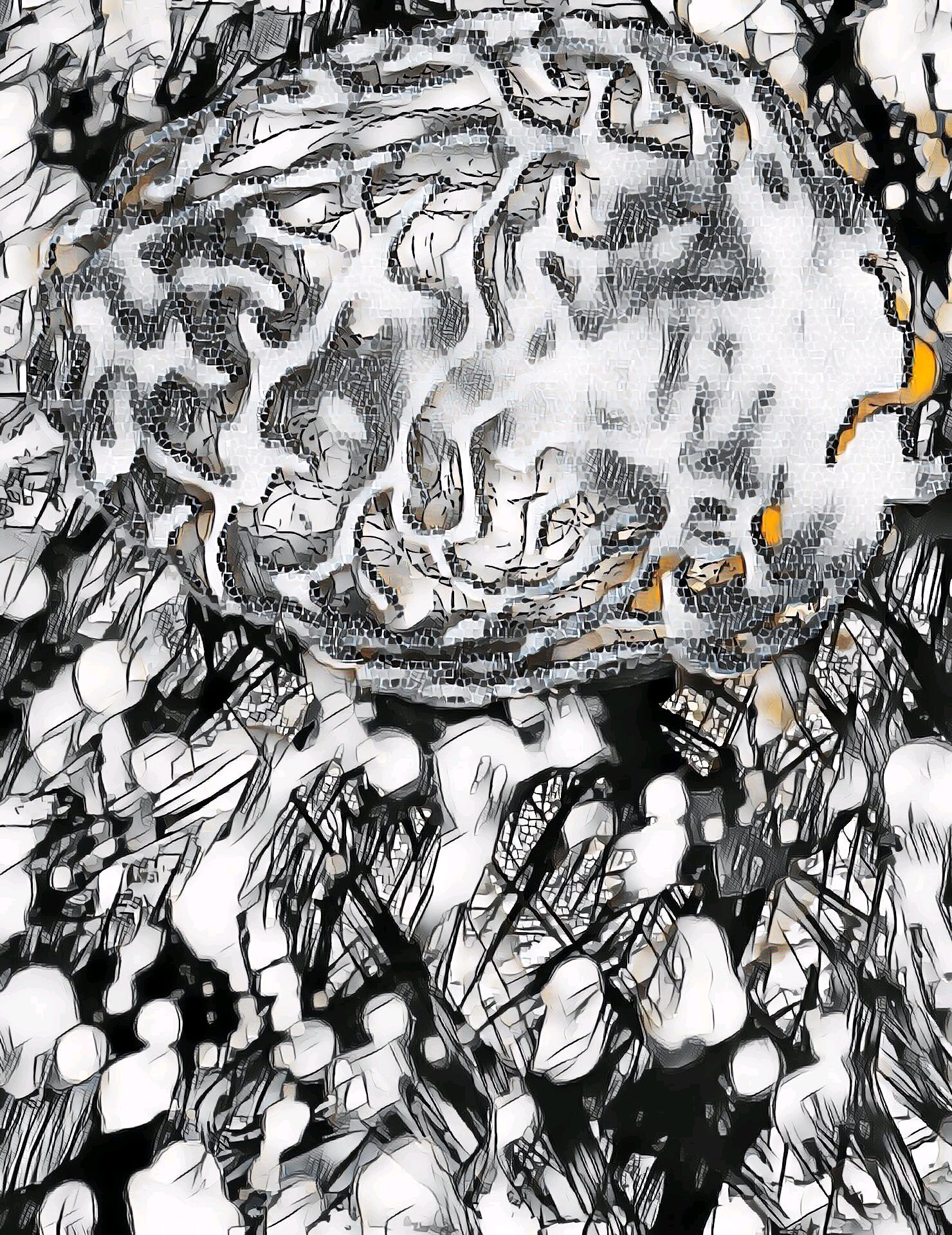 Synapse (29).jpg