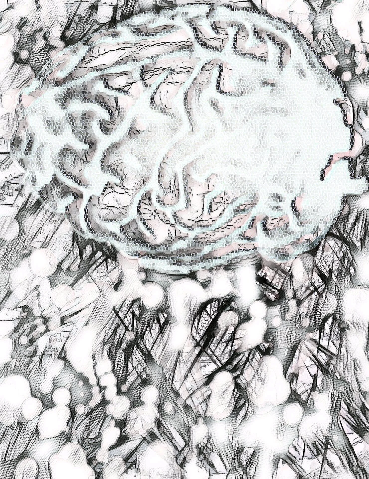 Synapse (17).jpg