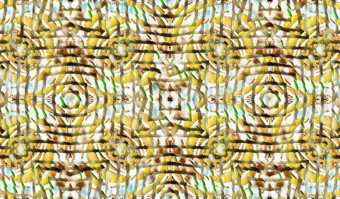 DISBOXIUM (29).jpg