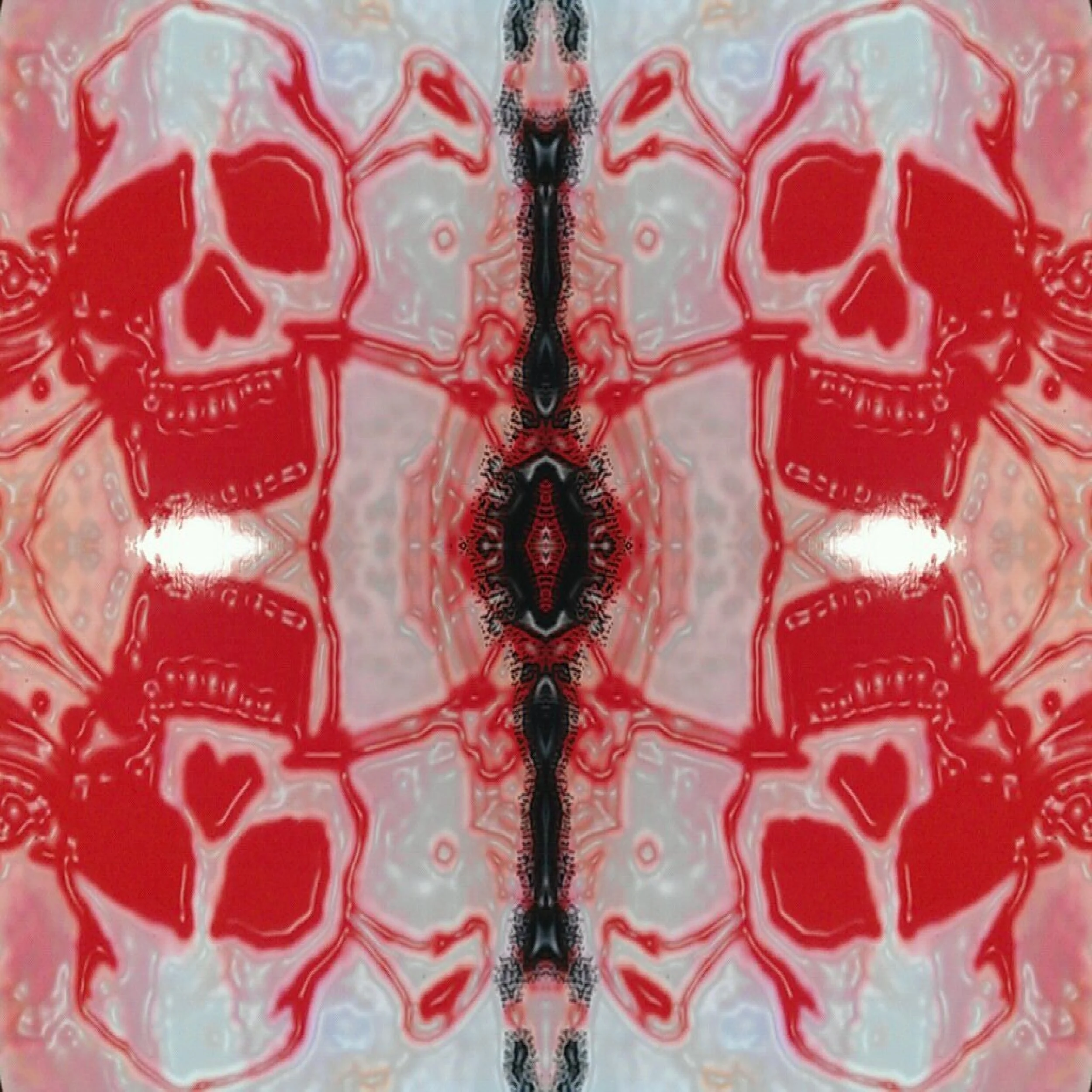 FxCam Experiment (67).jpg
