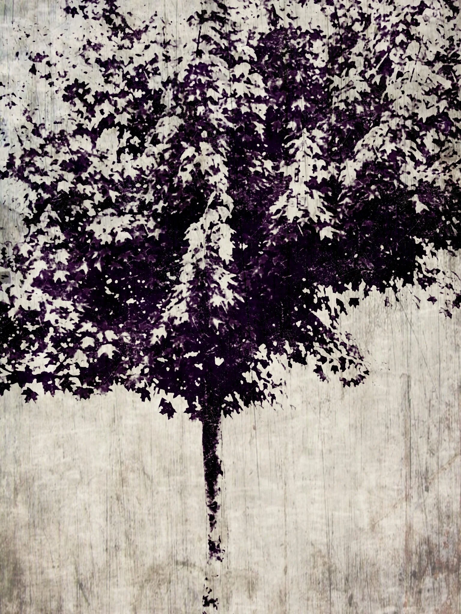 Tree [r] (56).jpg