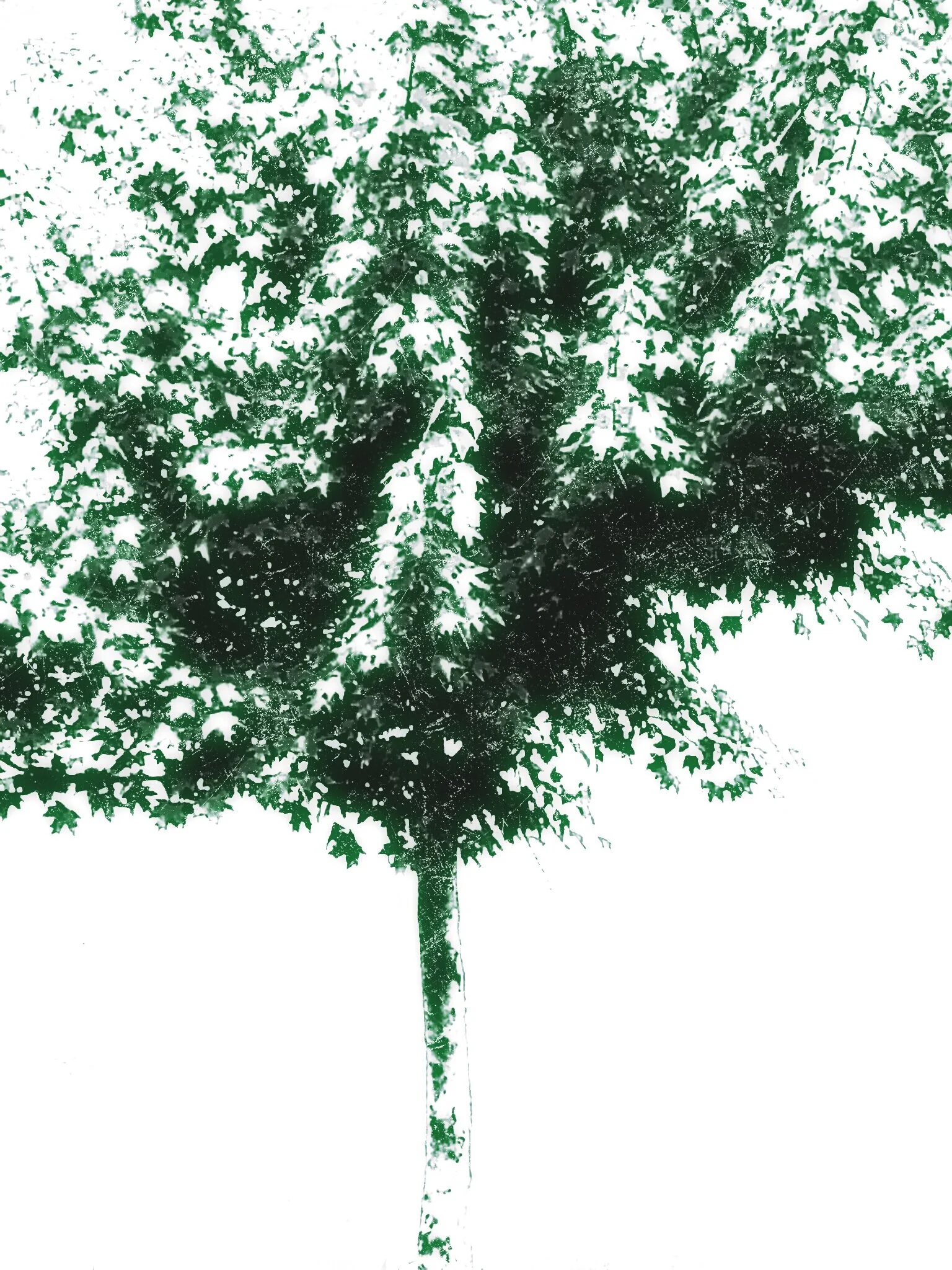Tree [r] (27).jpg