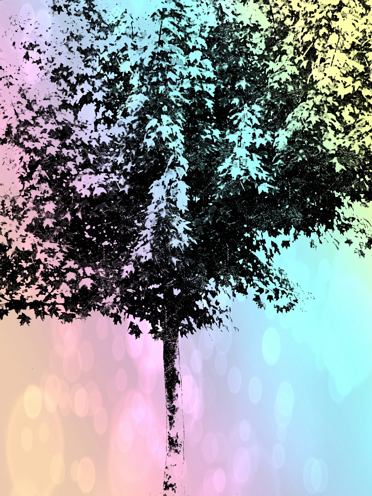 Tree [r] (5).jpg
