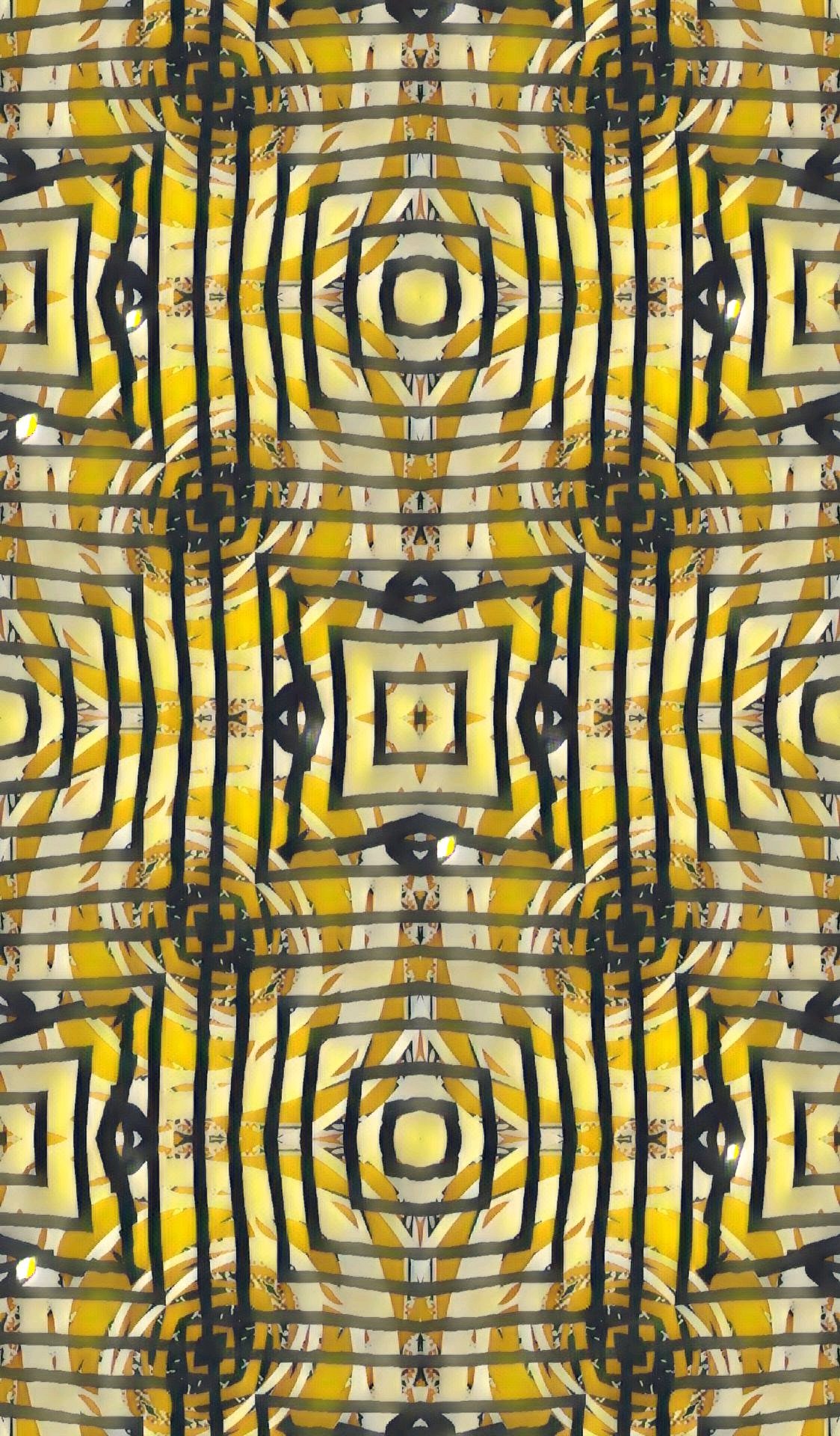 DISBOXIUM (21).jpg