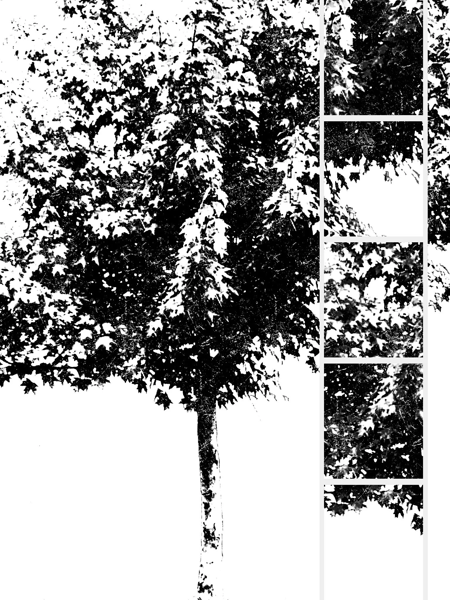 Tree [r] (78).jpg