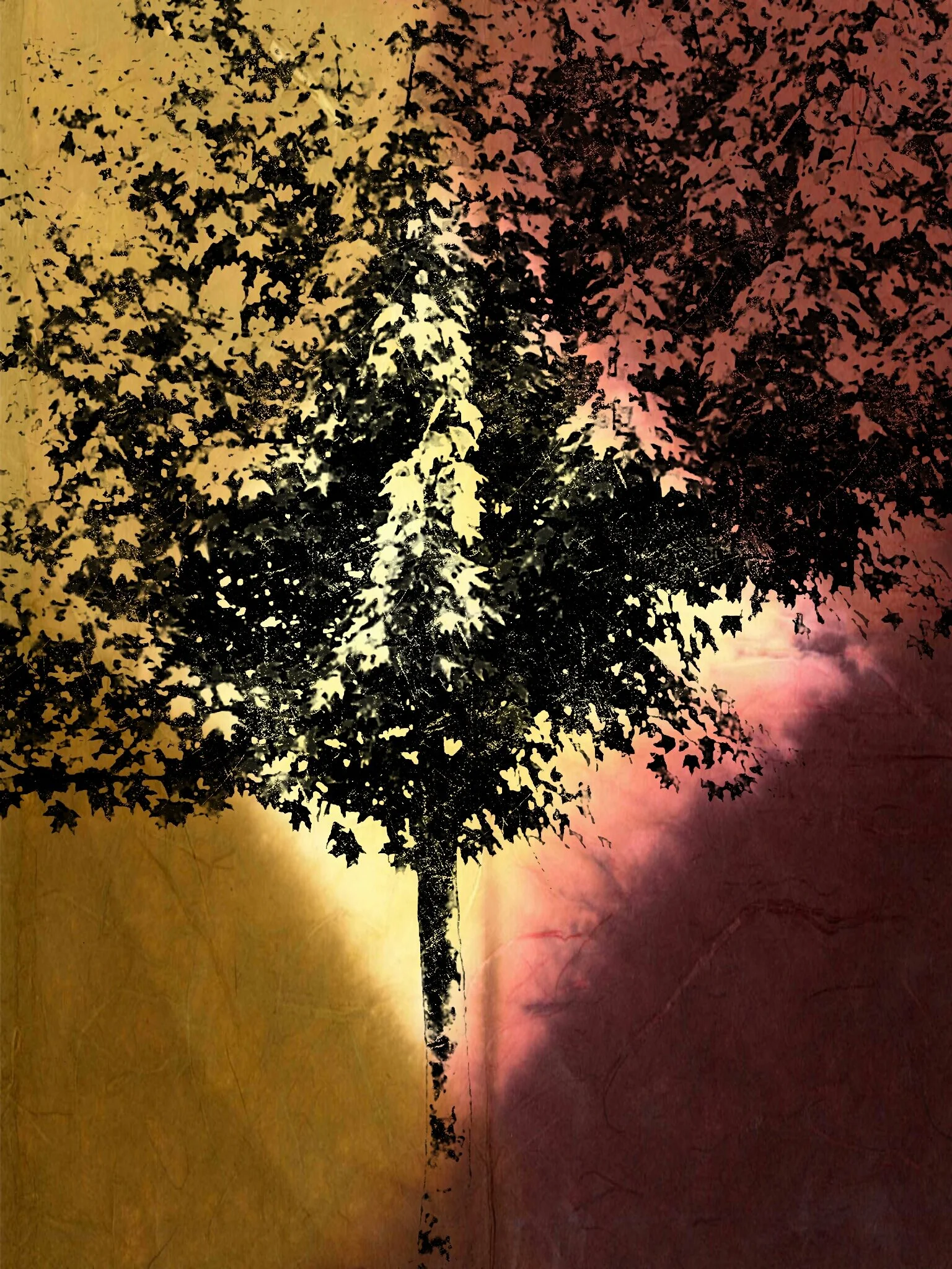 Tree [r] (7).jpg