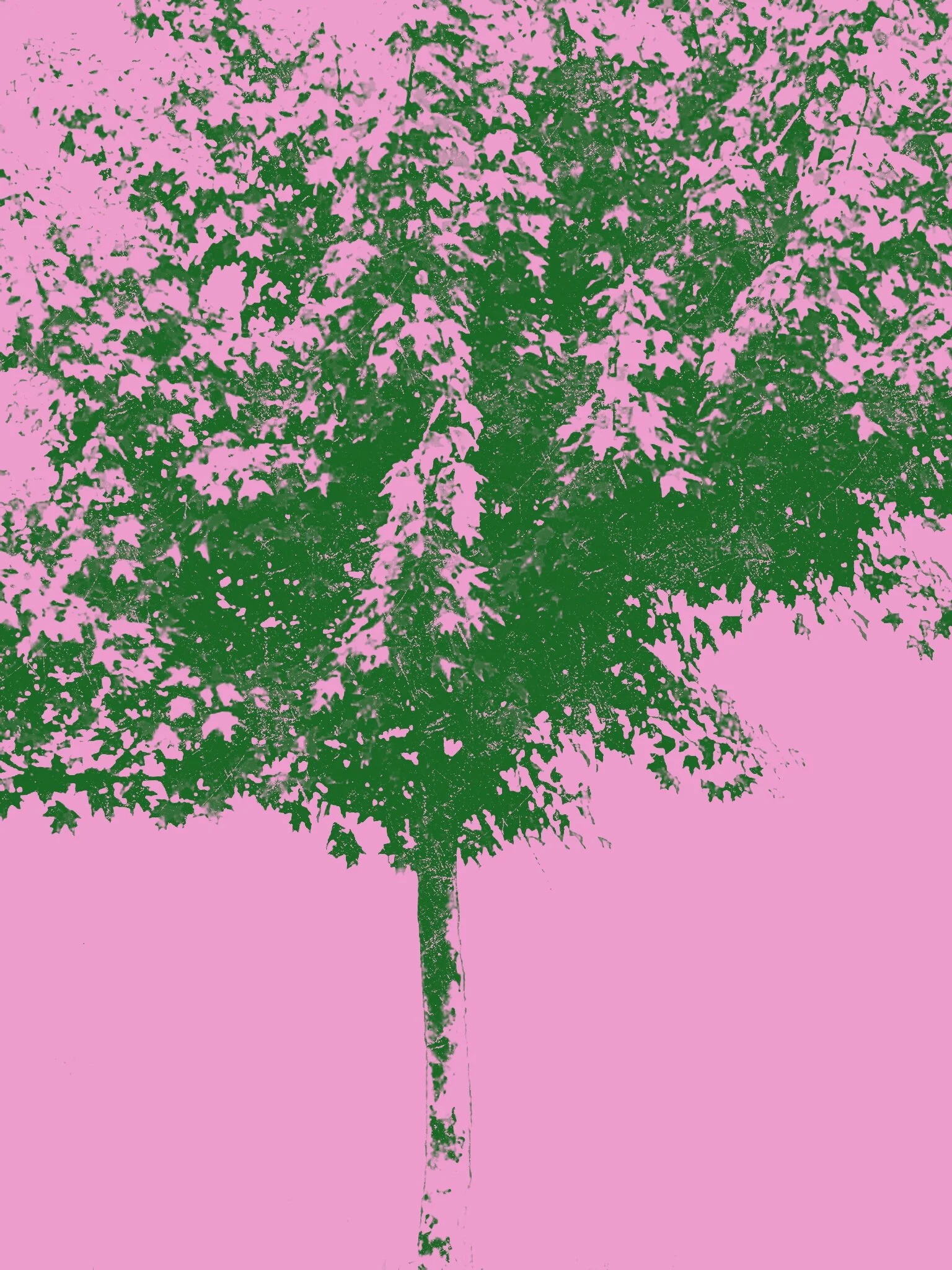 Tree [r] (36).jpg