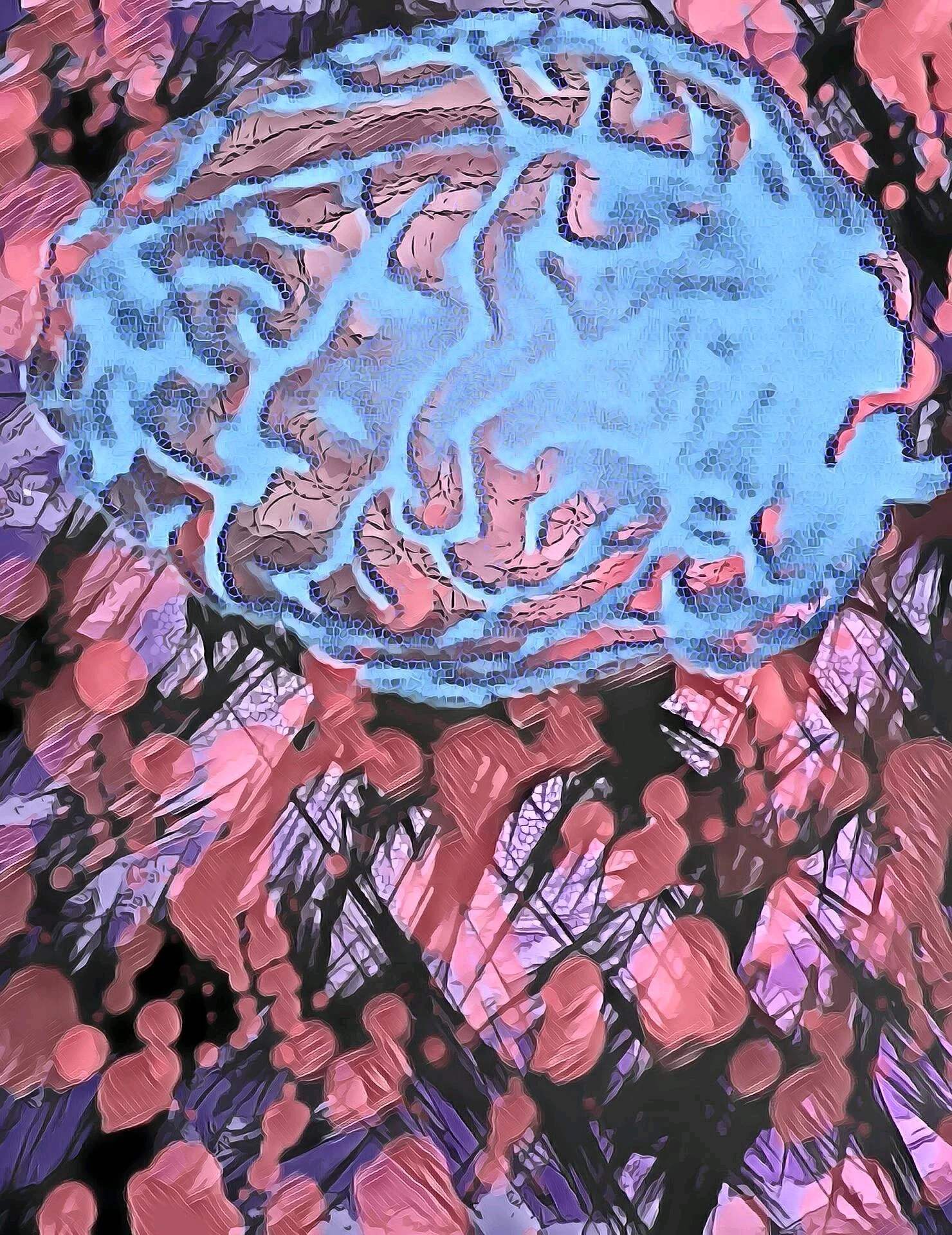 Synapse (4).jpg