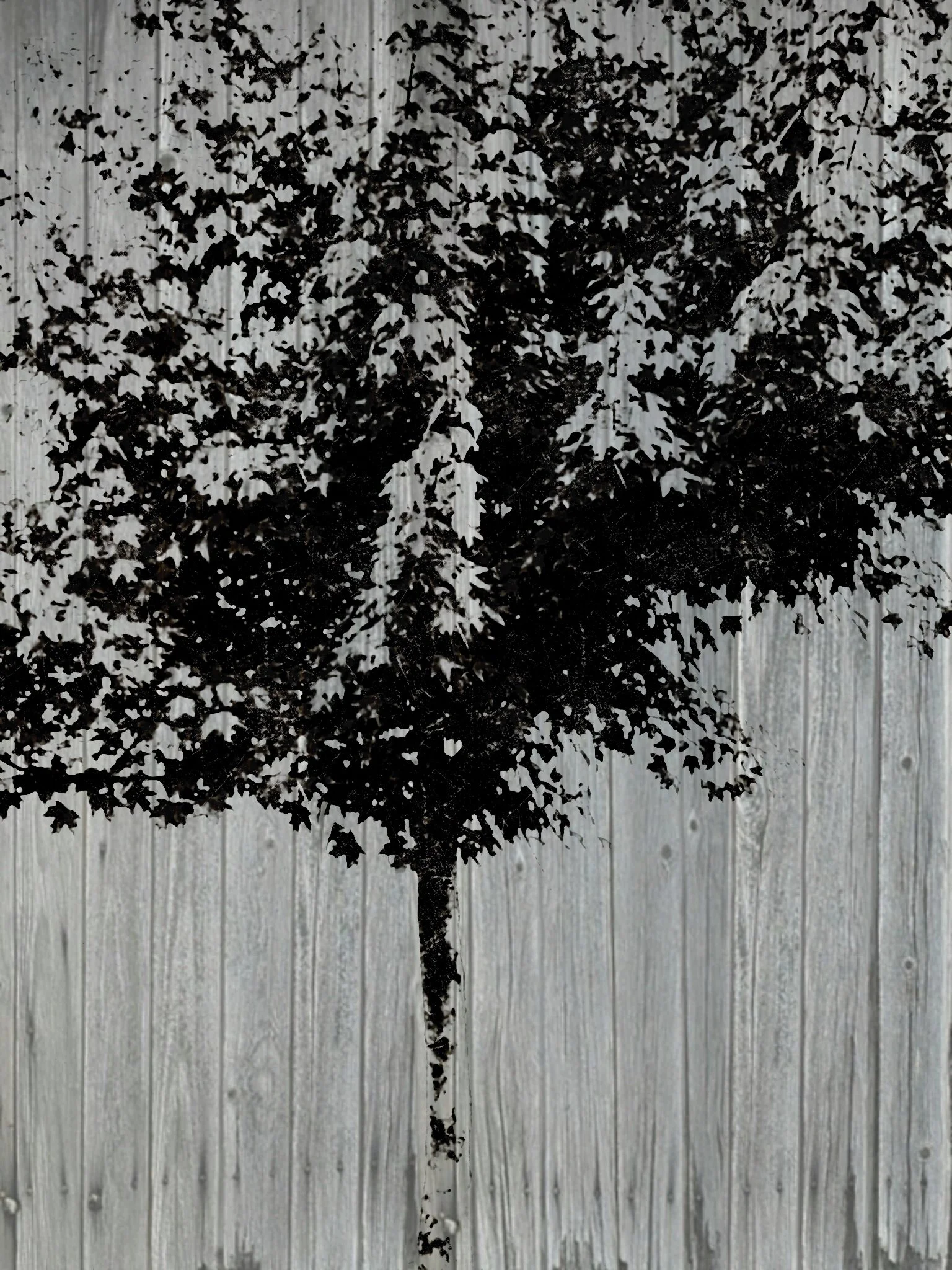 Tree [r] (55).jpg
