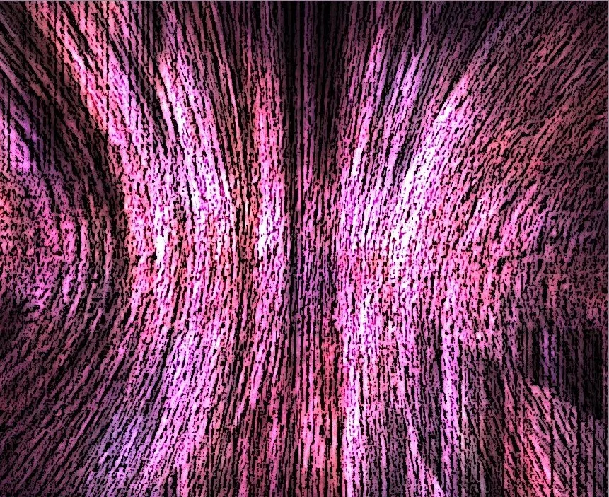 02092009hgasf.jpg