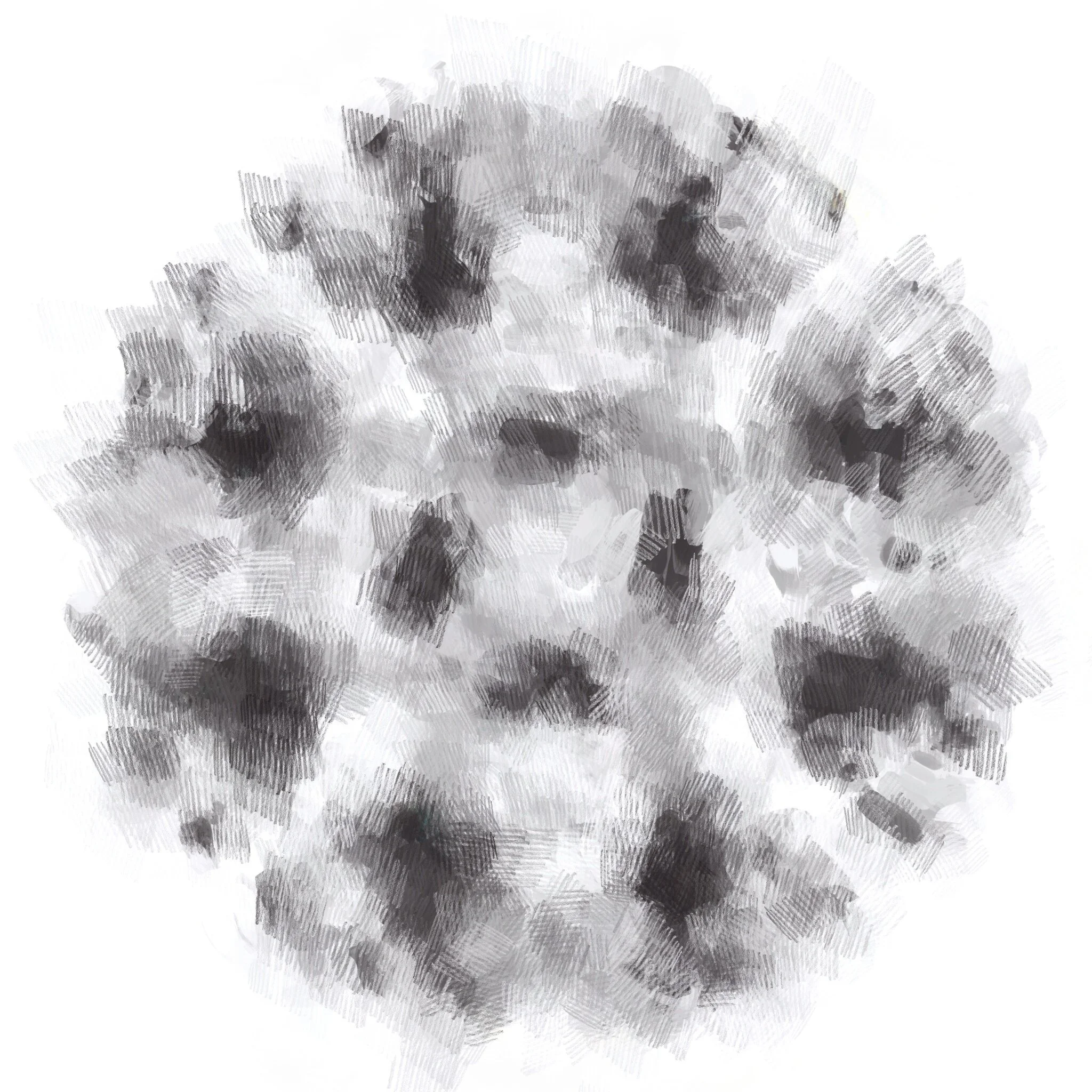 KNOT LIKELY [R] (28).jpg