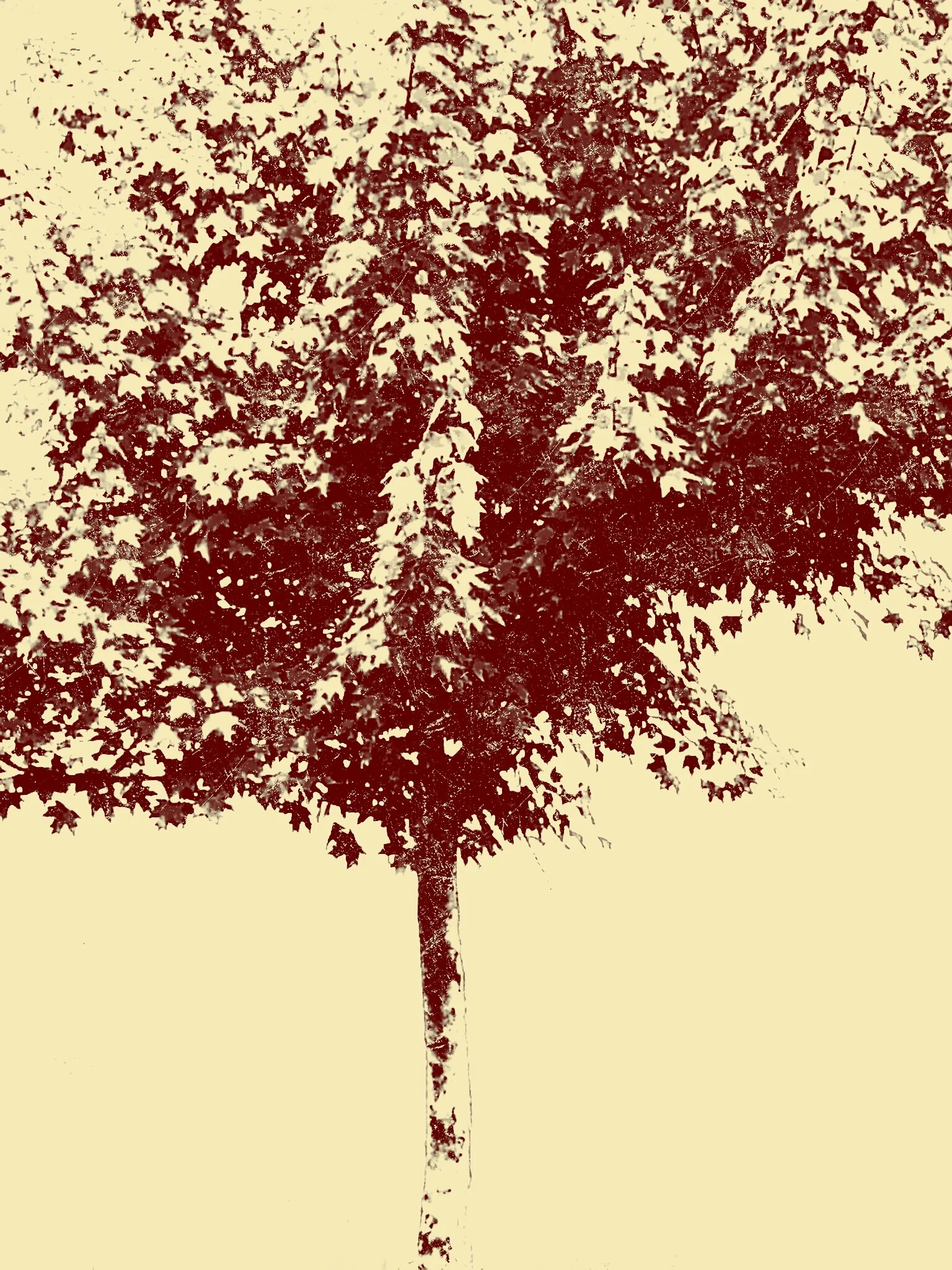 Tree [r] (20).jpg