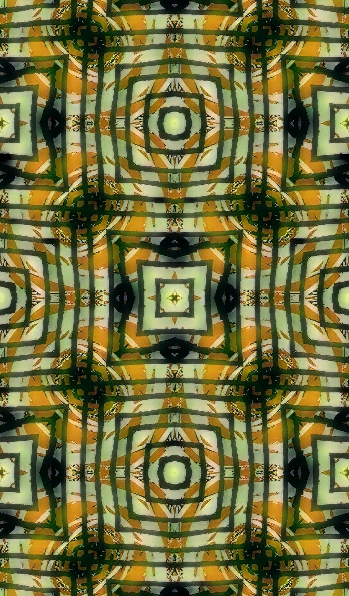 DISBOXIUM (28).jpg