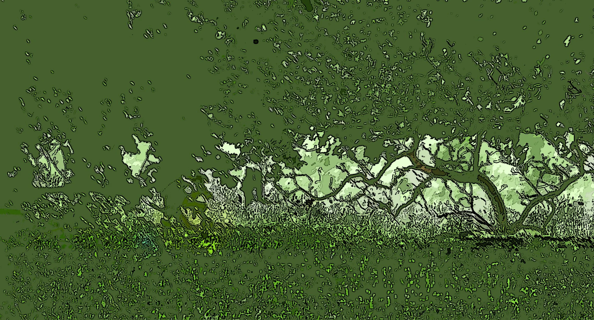 Forest [R] 2275X1225.jpg