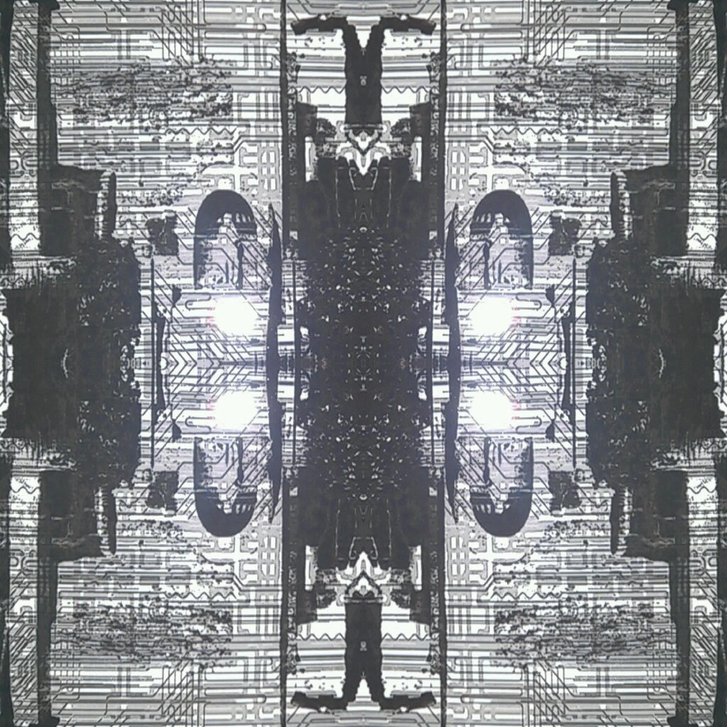 FxCam Experiment (51).jpg