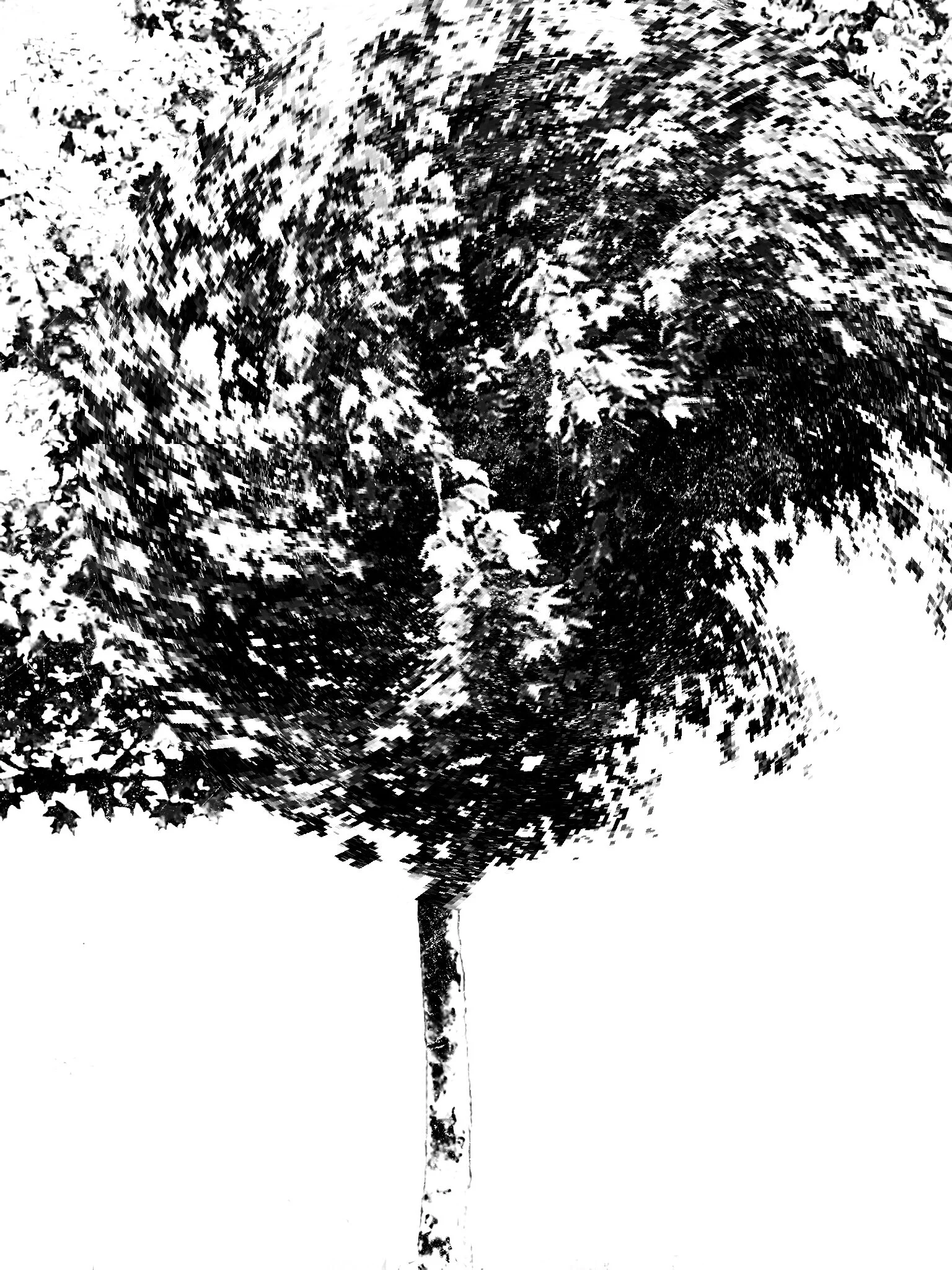 Tree [r] (60).jpg