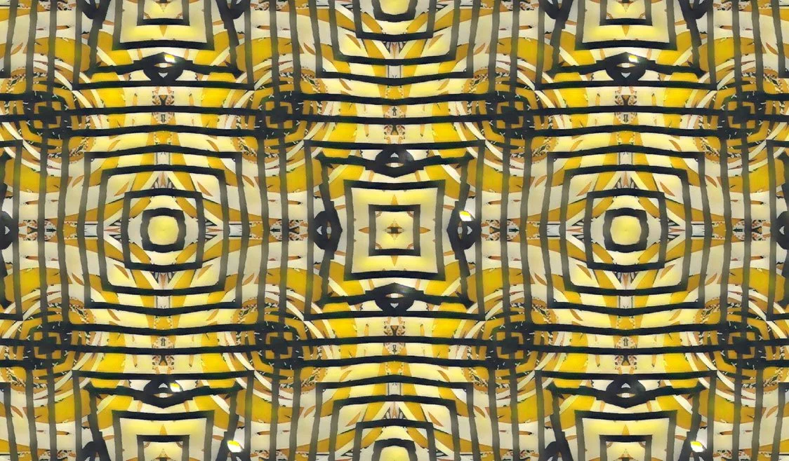 DISBOXIUM (21).jpg