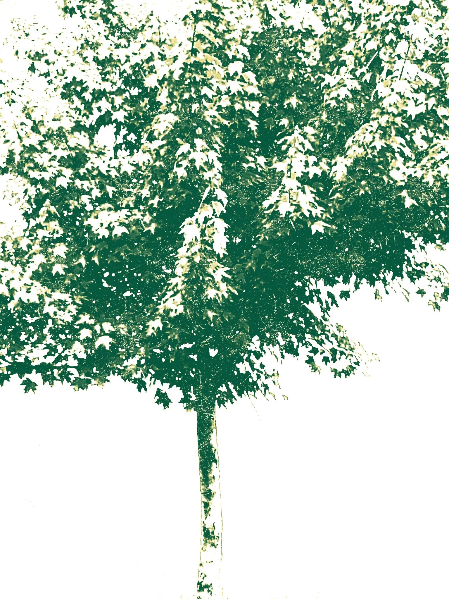 Tree [r] (22).jpg