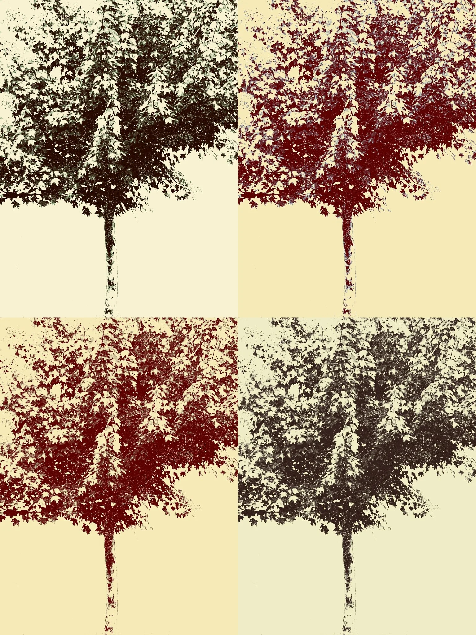 Tree [r] (73).jpg